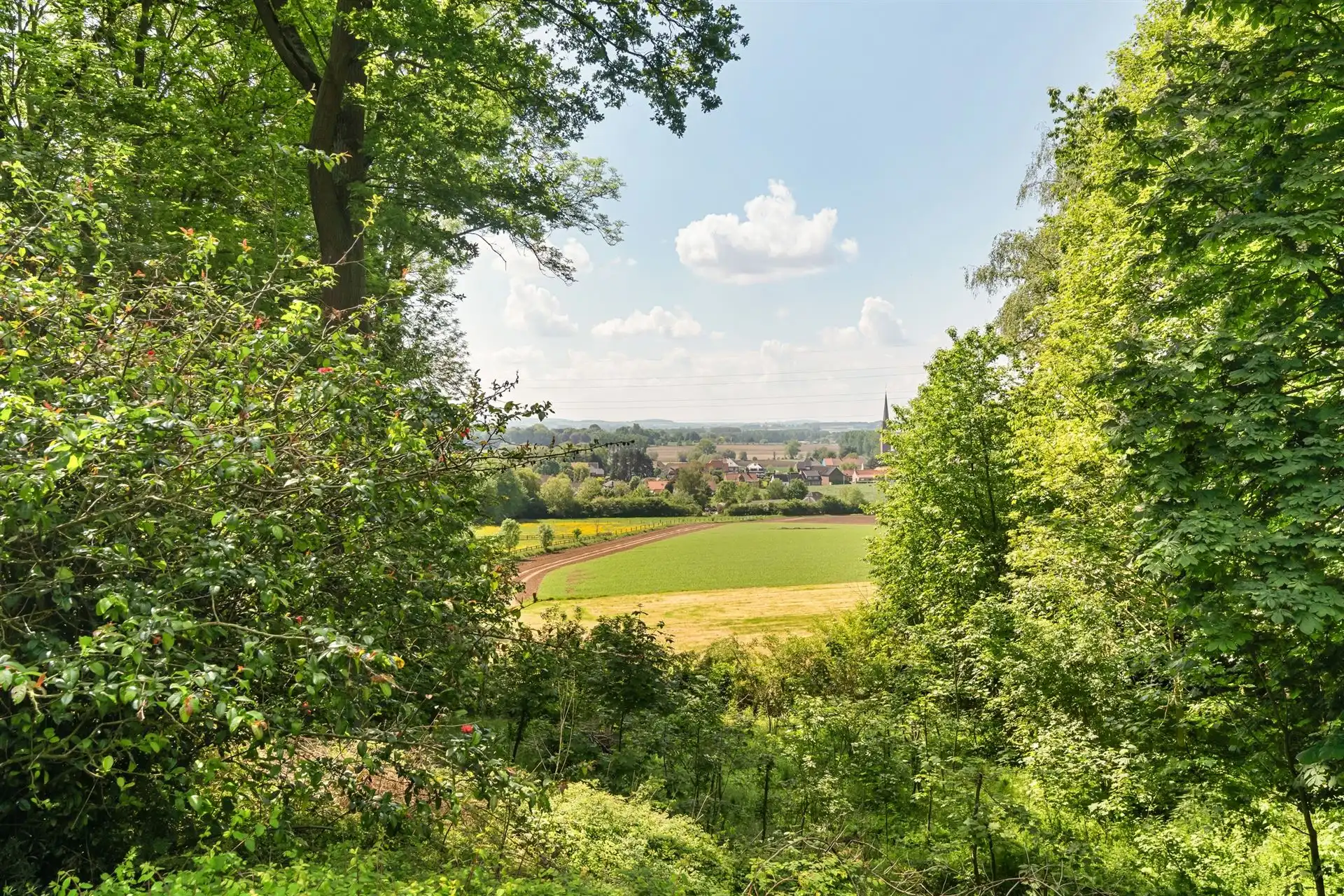 Prachtig landhuis, uniek zicht, op meer dan 1 hectare foto 24