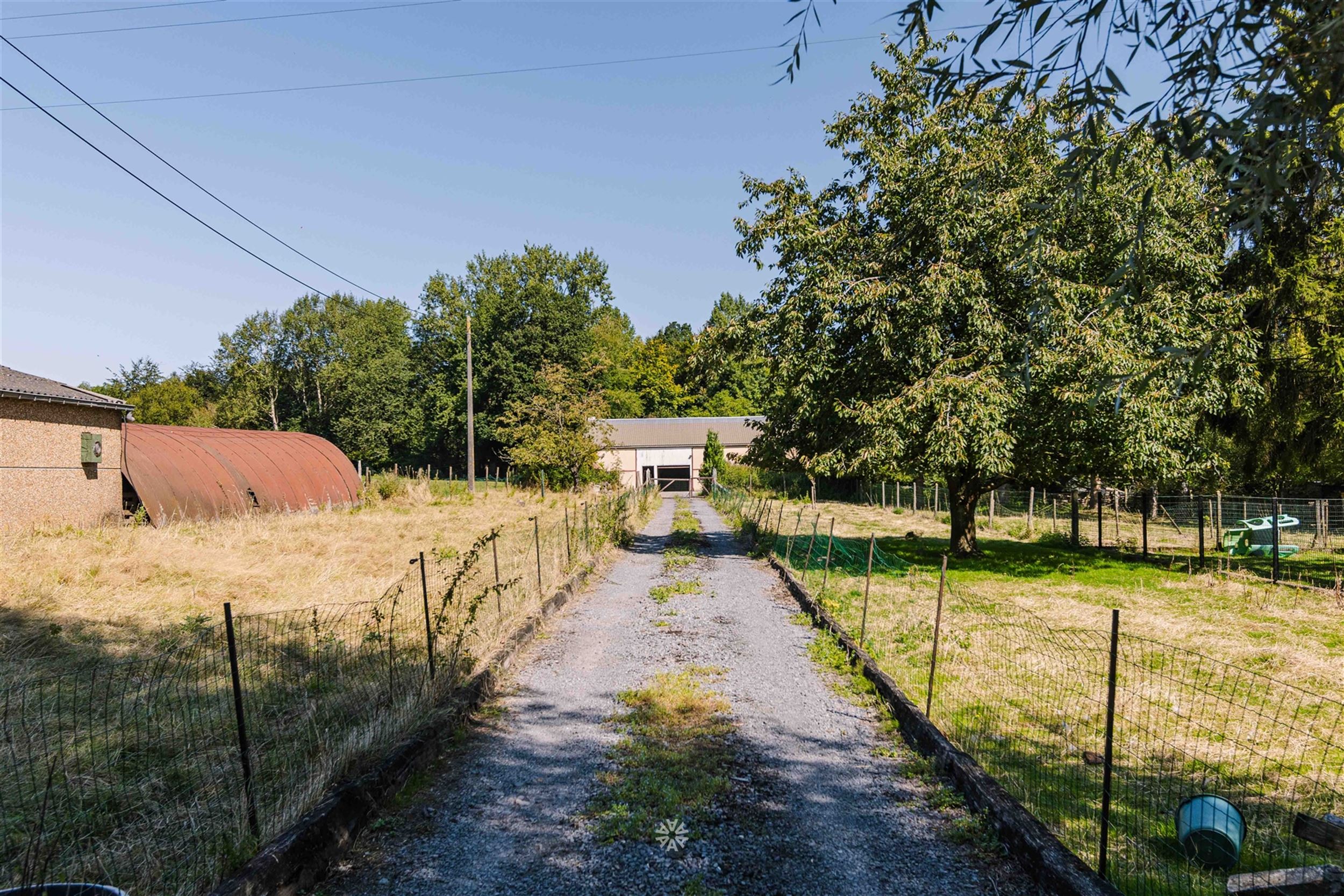 Bouwgrond met loods/atelier (190 m²) in Ellezelles. foto 1