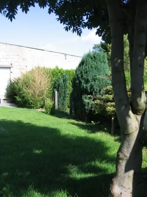 Degelijk gerenoveerde woning gelegen Bolderstraat 54 te ZZ.Bolder. foto 4