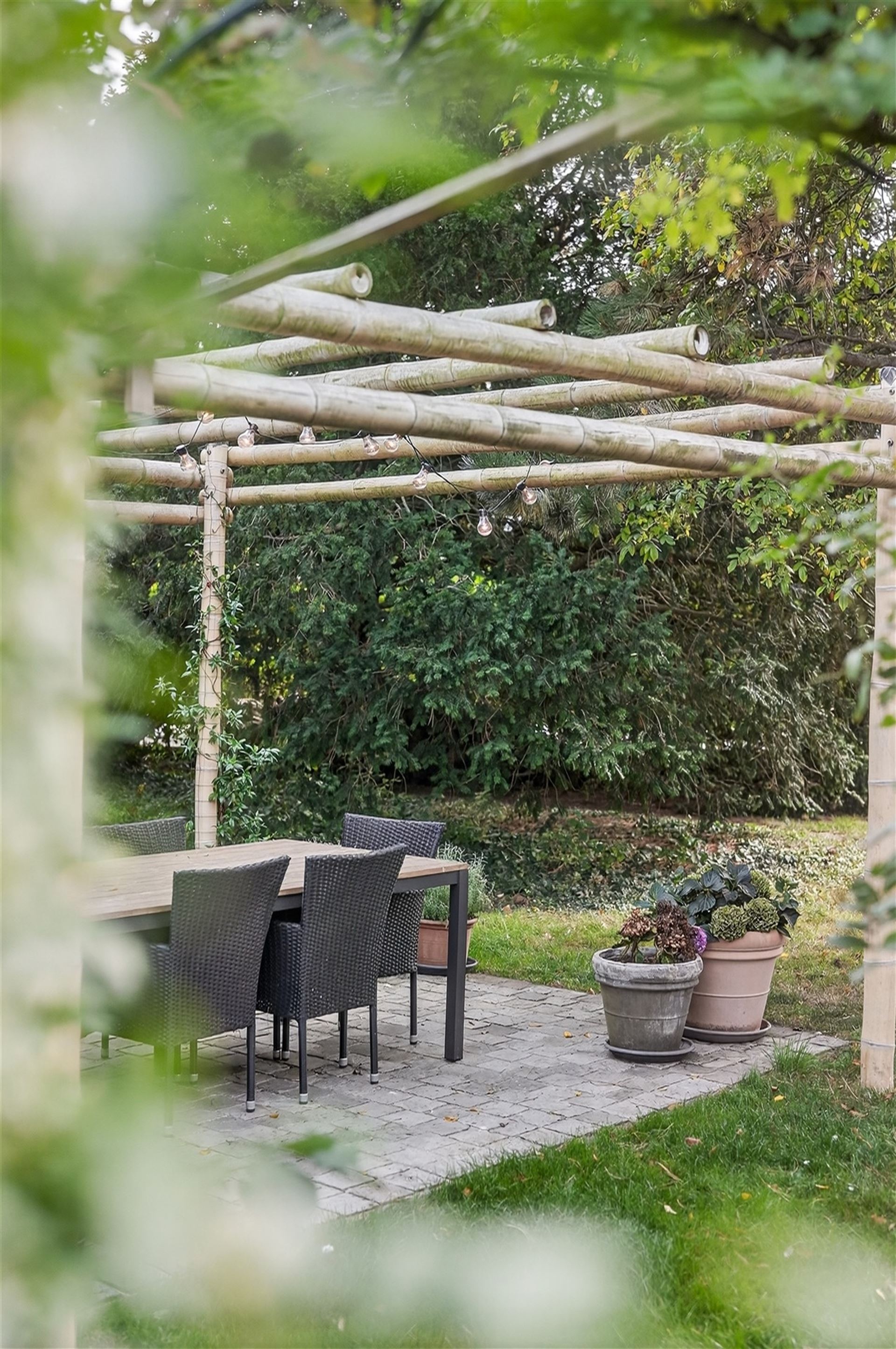 EXCLUSIEF / GROENE OASE  foto 49