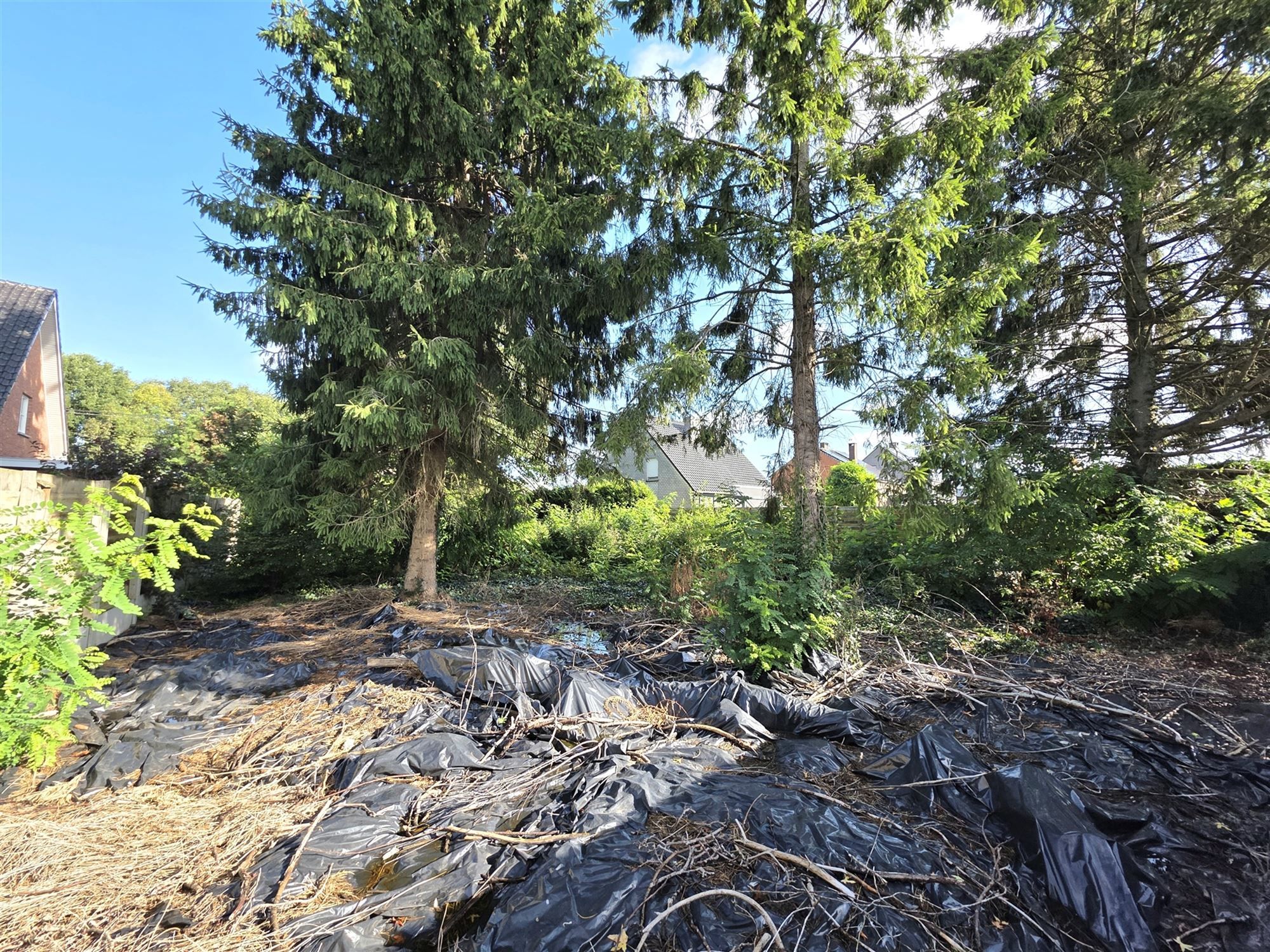 Bouwgrond te koop – open bebouwing met zuidgerichte tuin foto 3