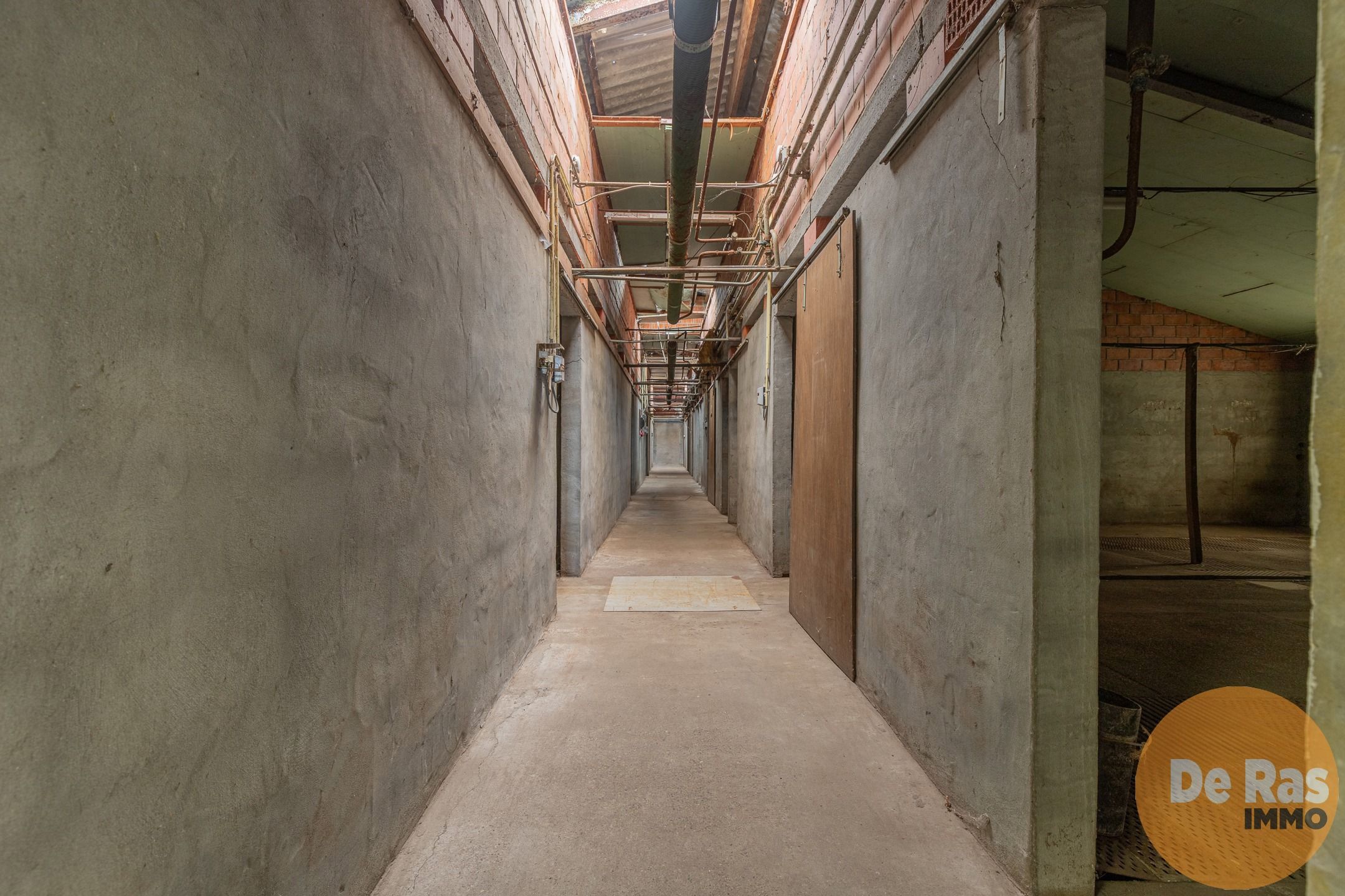LOKEREN -Landelijk gelegen bedrijfswoning met stallencomplex foto 18
