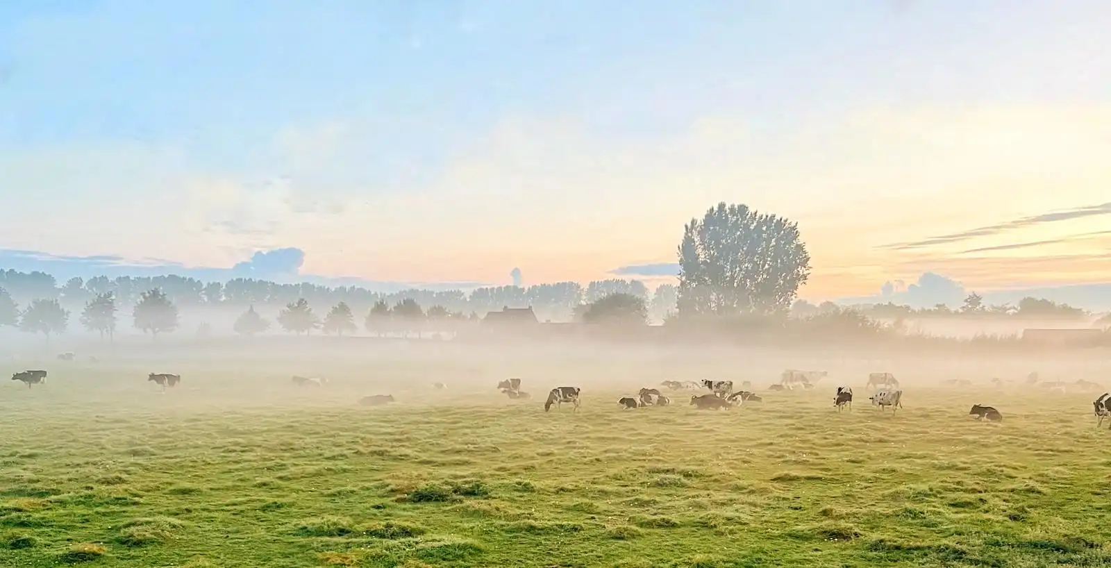 Charmante woning in zalige tuin met gastenverblijf! foto 28