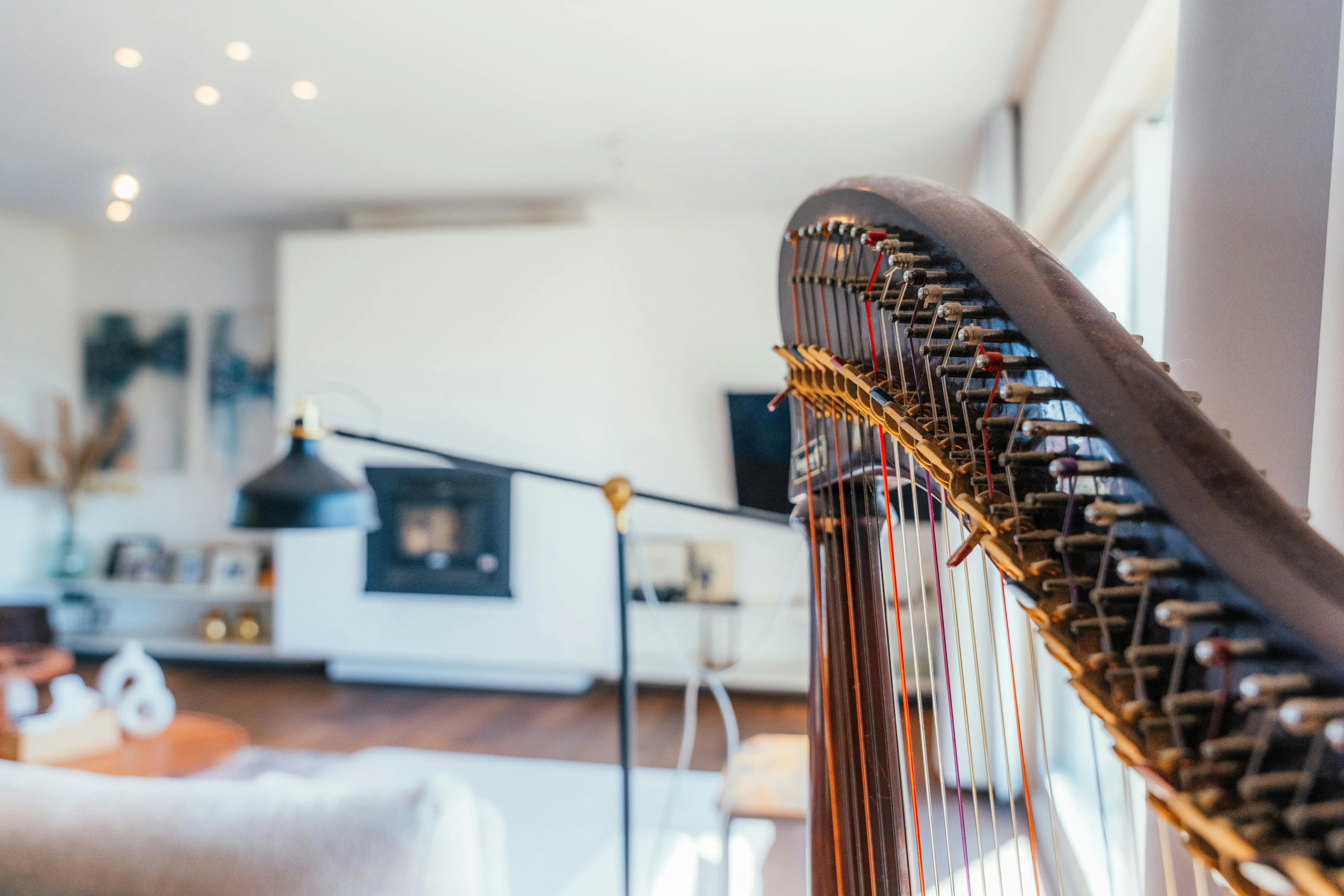 Landelijk alleenstaand huis op 4.806m² in Aarsele foto 6