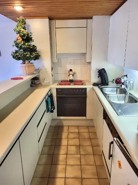 Lichtrijke studio met terras en slaaphoek te koop foto 4