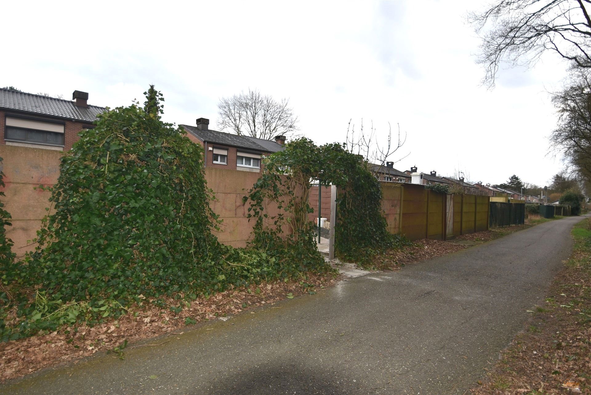 Huis foto 20