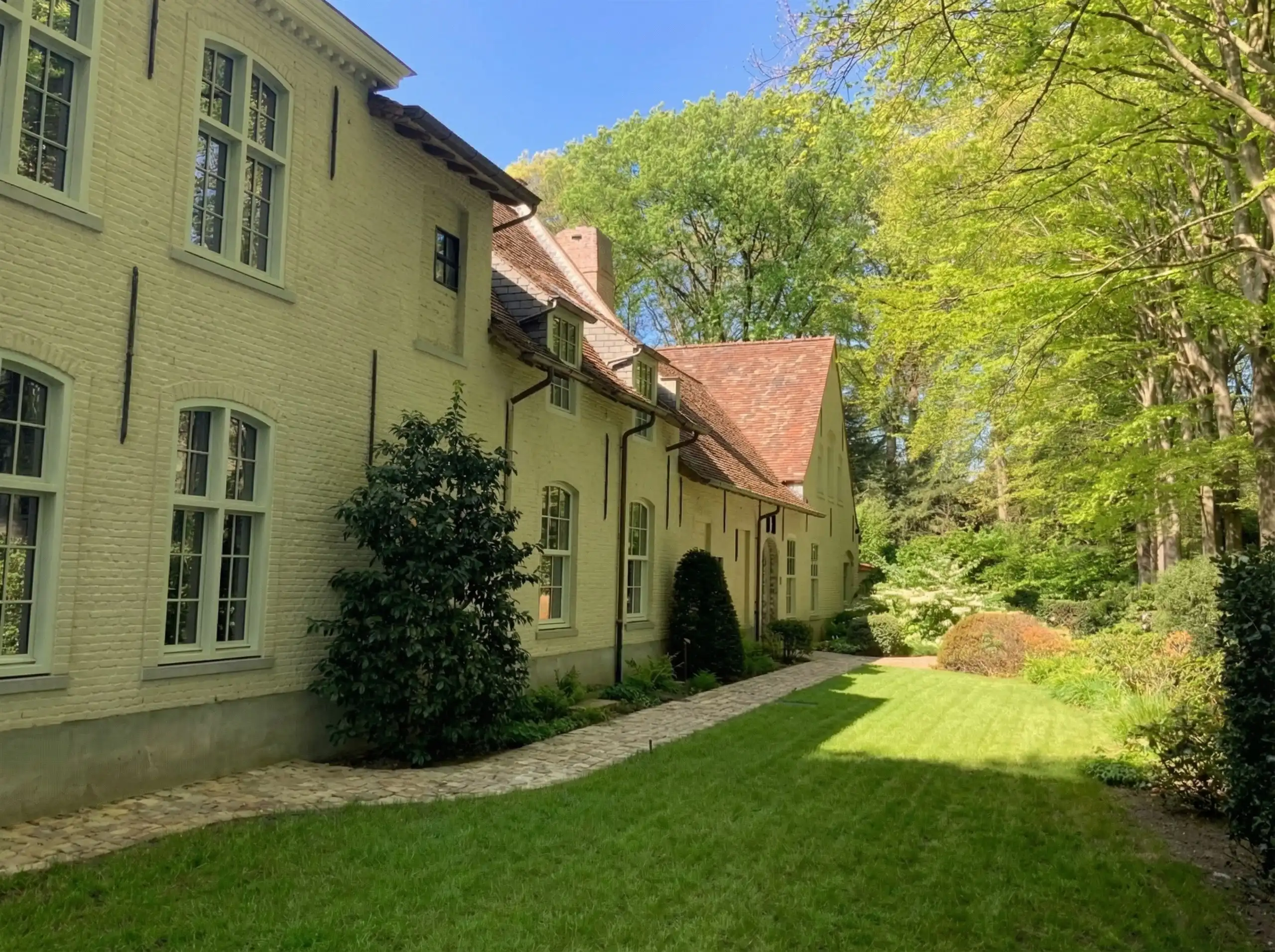 Majestueus Meesterwerk in de bossen van Hertsberge foto 5