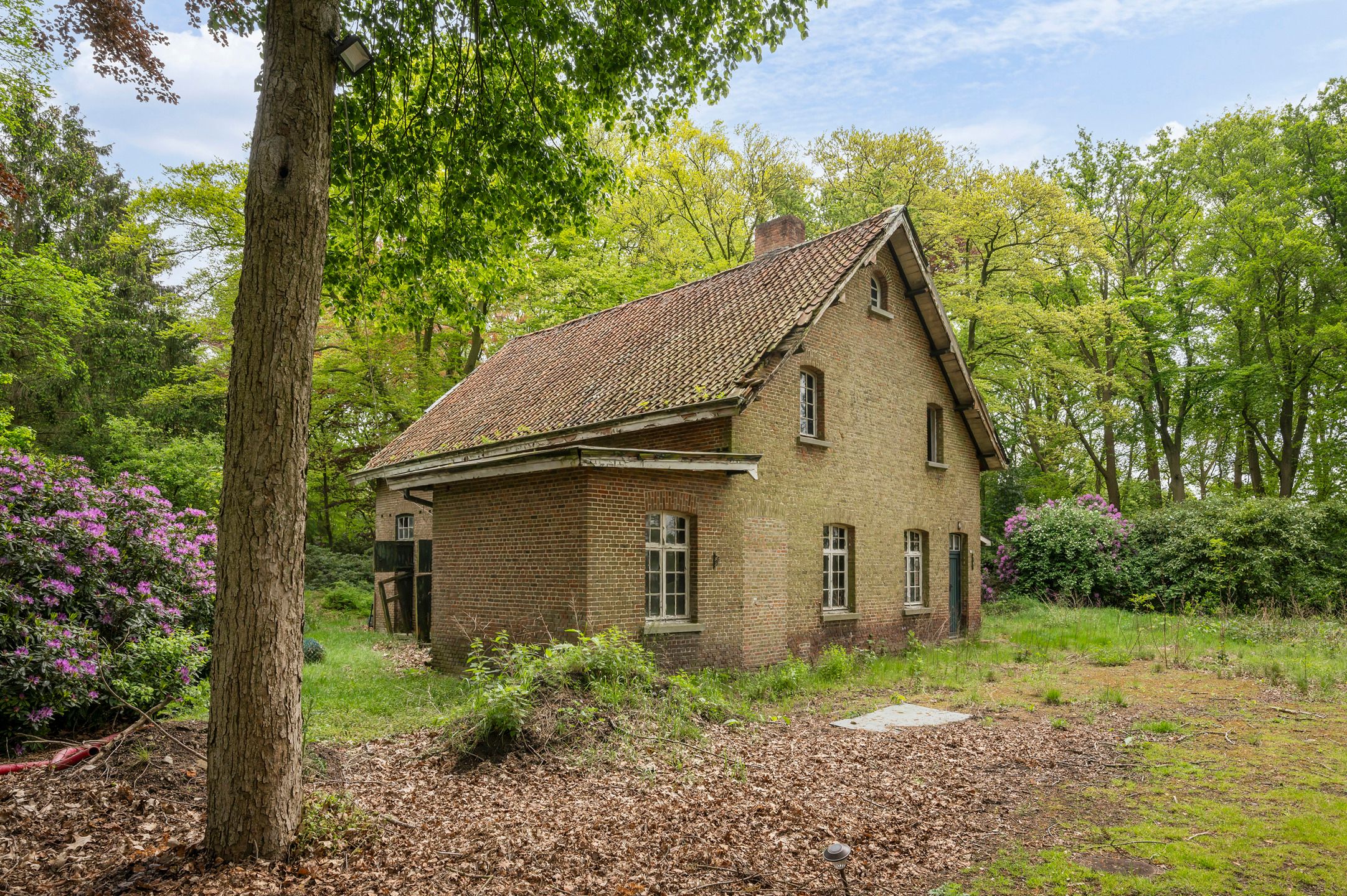 Exclusief landgoed “De Markgraaf” met polyvalent bijgebouw  foto 46