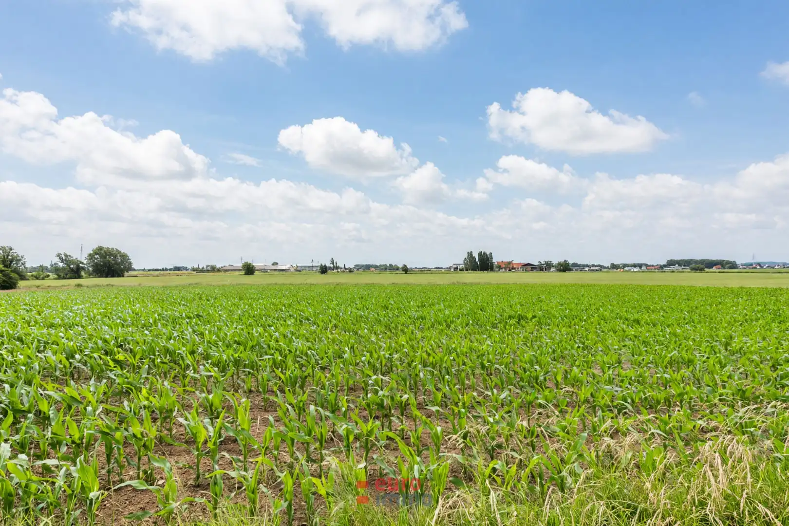 Exclusief gelegen bouwgrond aan de buitenrand van Ieper! foto {{pictureIndex}}
