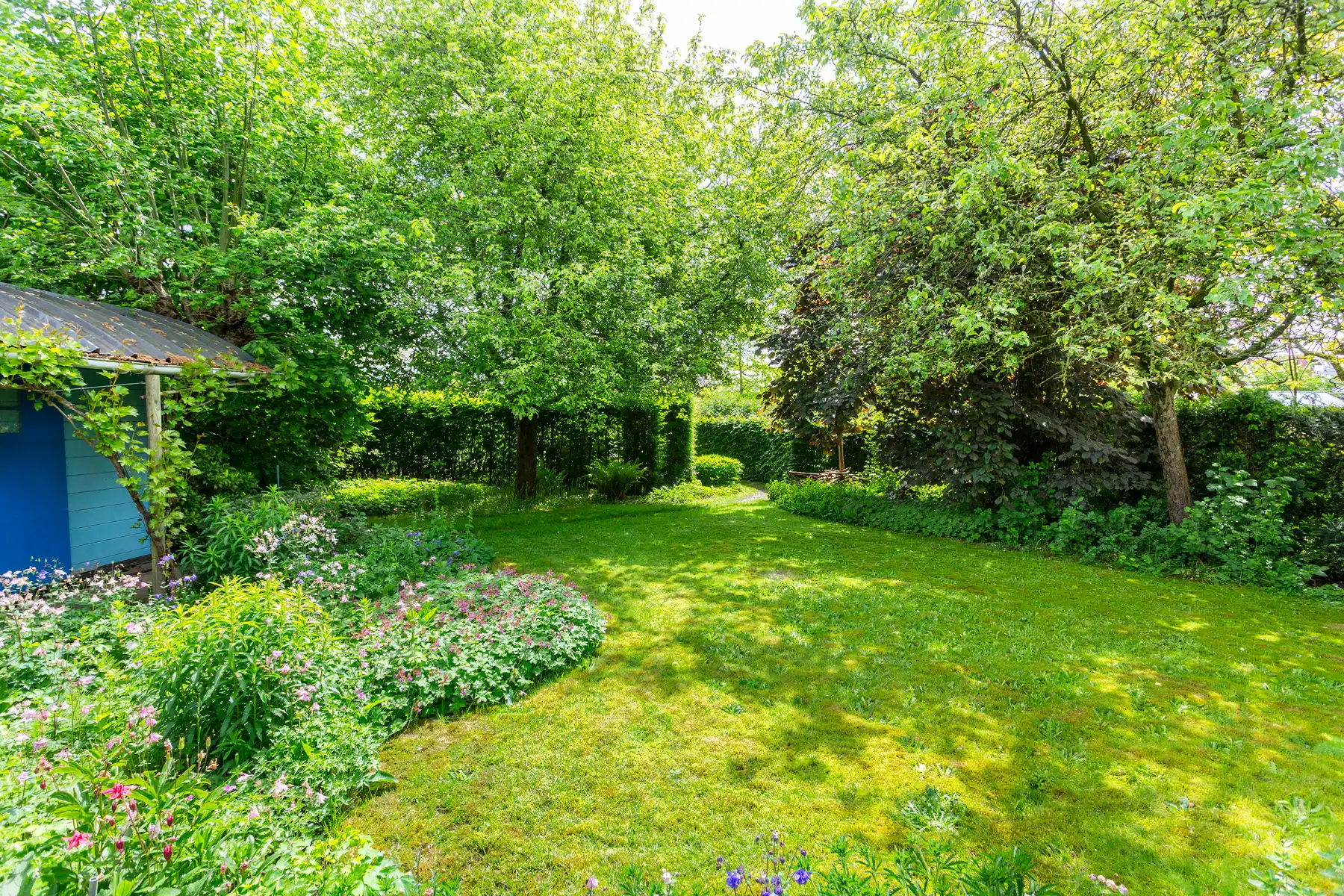 Ruime gezinswoning met zonnige tuin op toplocatie! foto 4