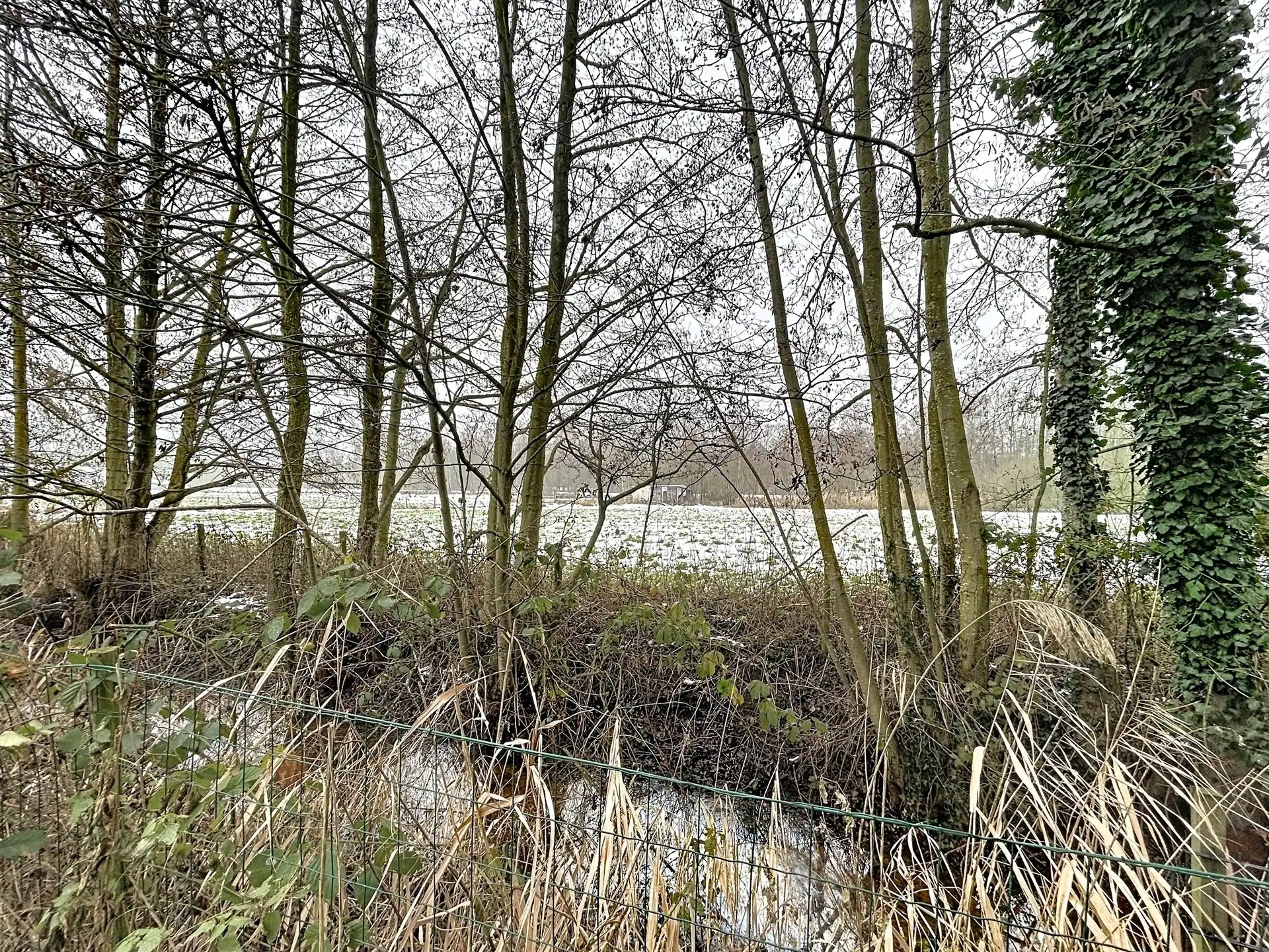 Open bebouwing met 4 slaapkamers en 230 m² bewoonbare oppervlakte foto 21