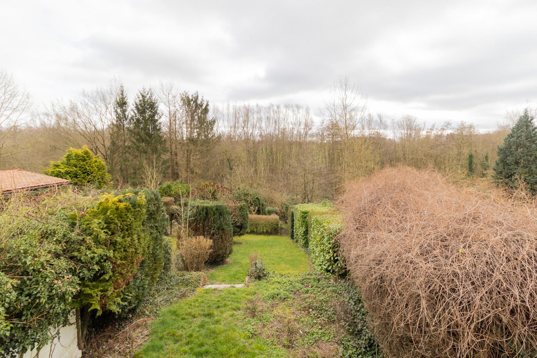 Huis te huur foto 10