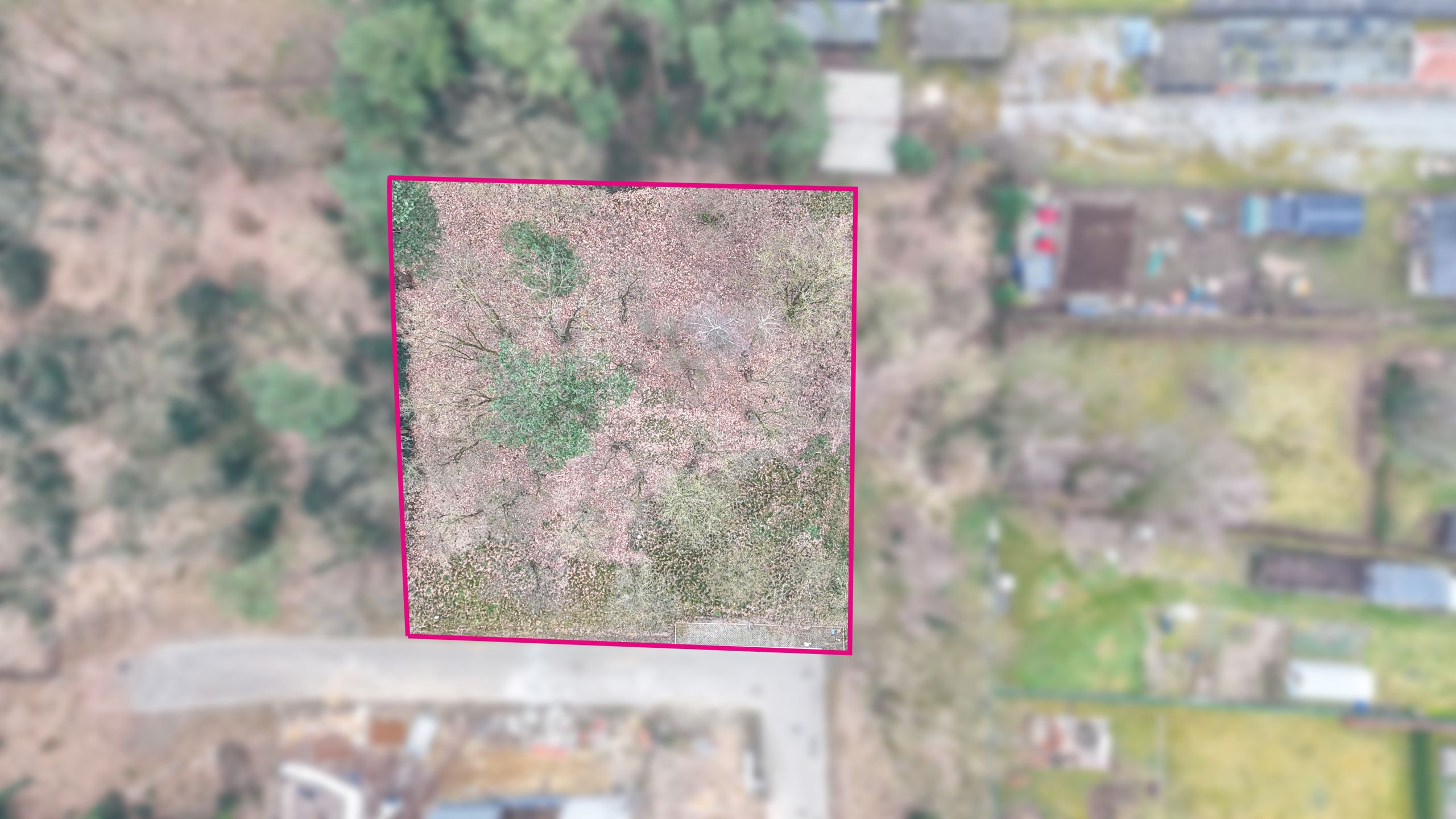Bouwgrond: Villawijk voor OB met 14,43are grond te Zolder! foto 3