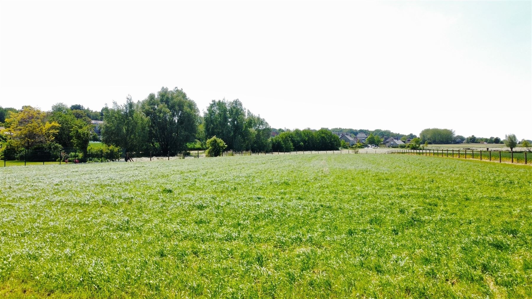 Hoeve met weide op 5555m² met zicht op Tiegemberg foto 6