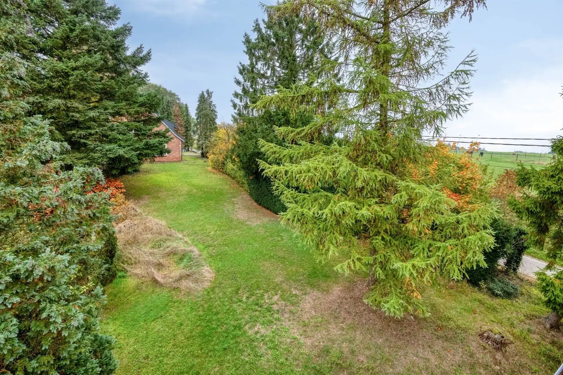 Unieke eigendom met veel potentieel op een domein van circa 85 are foto 18