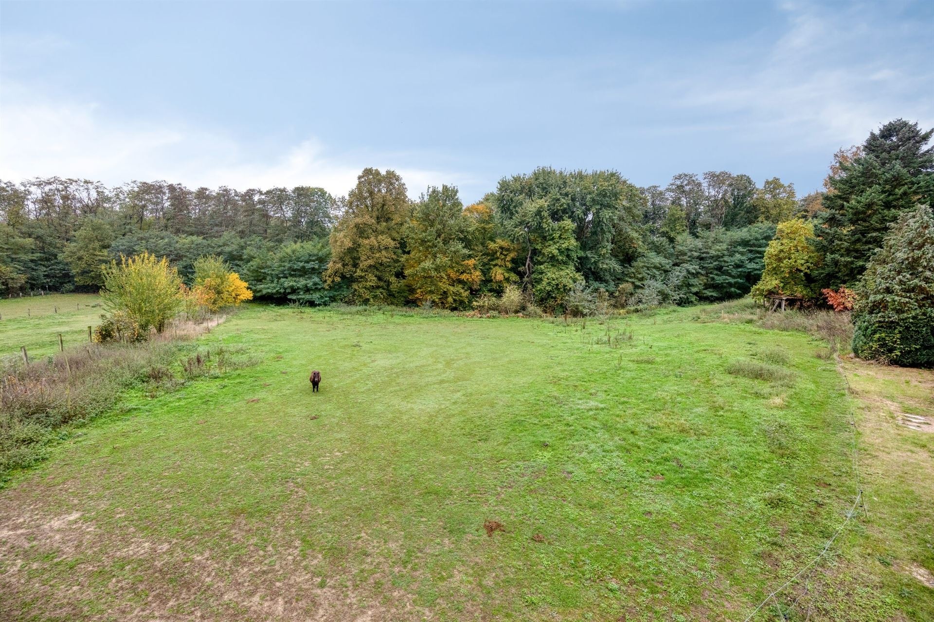 Unieke eigendom met veel potentieel op een domein van circa 85 are foto 18