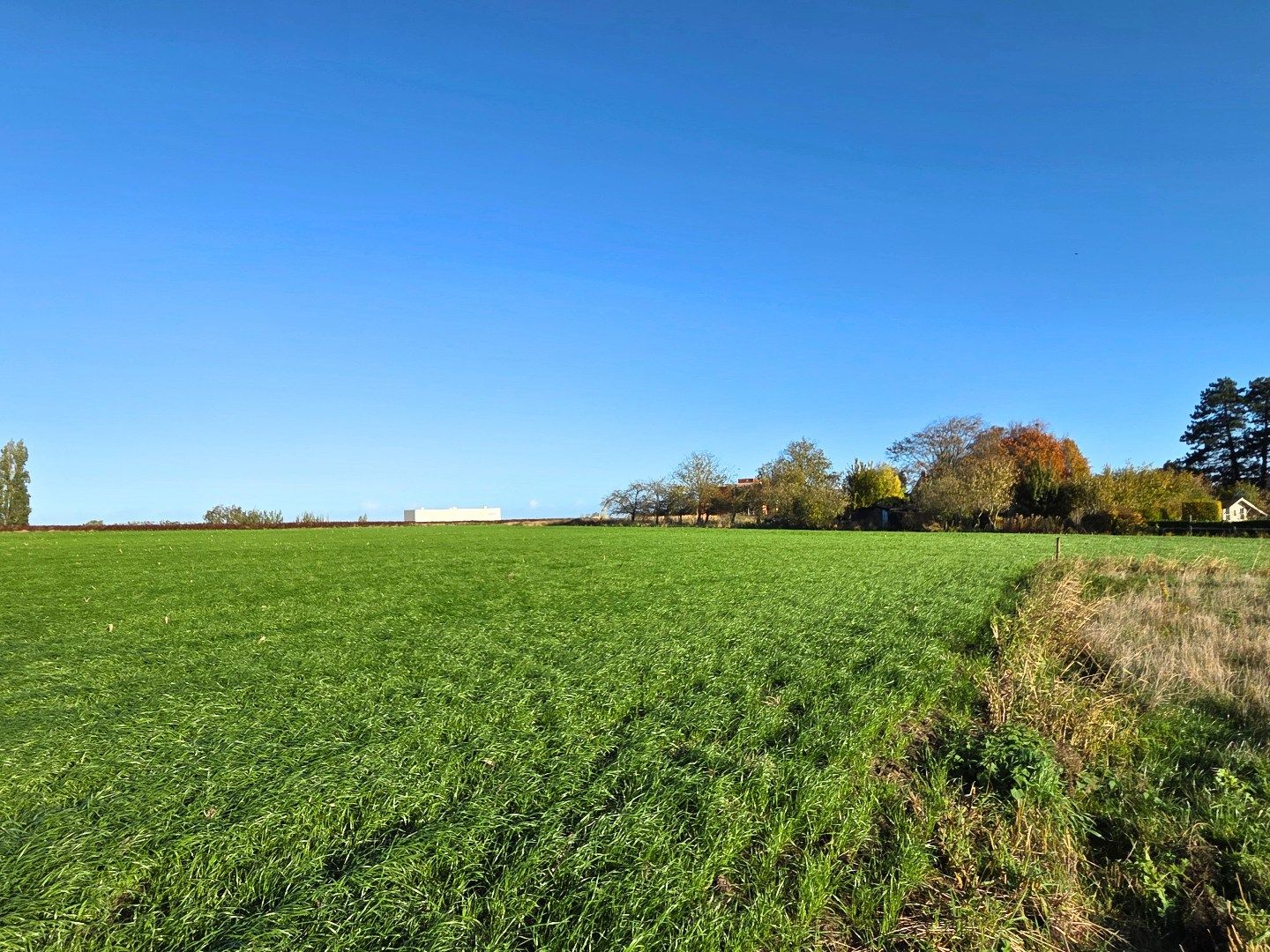 Verrassend  ruime nieuwbouw met afwerkingsvrijheid - 4 slaapkamers & 2 badkamers! foto 30