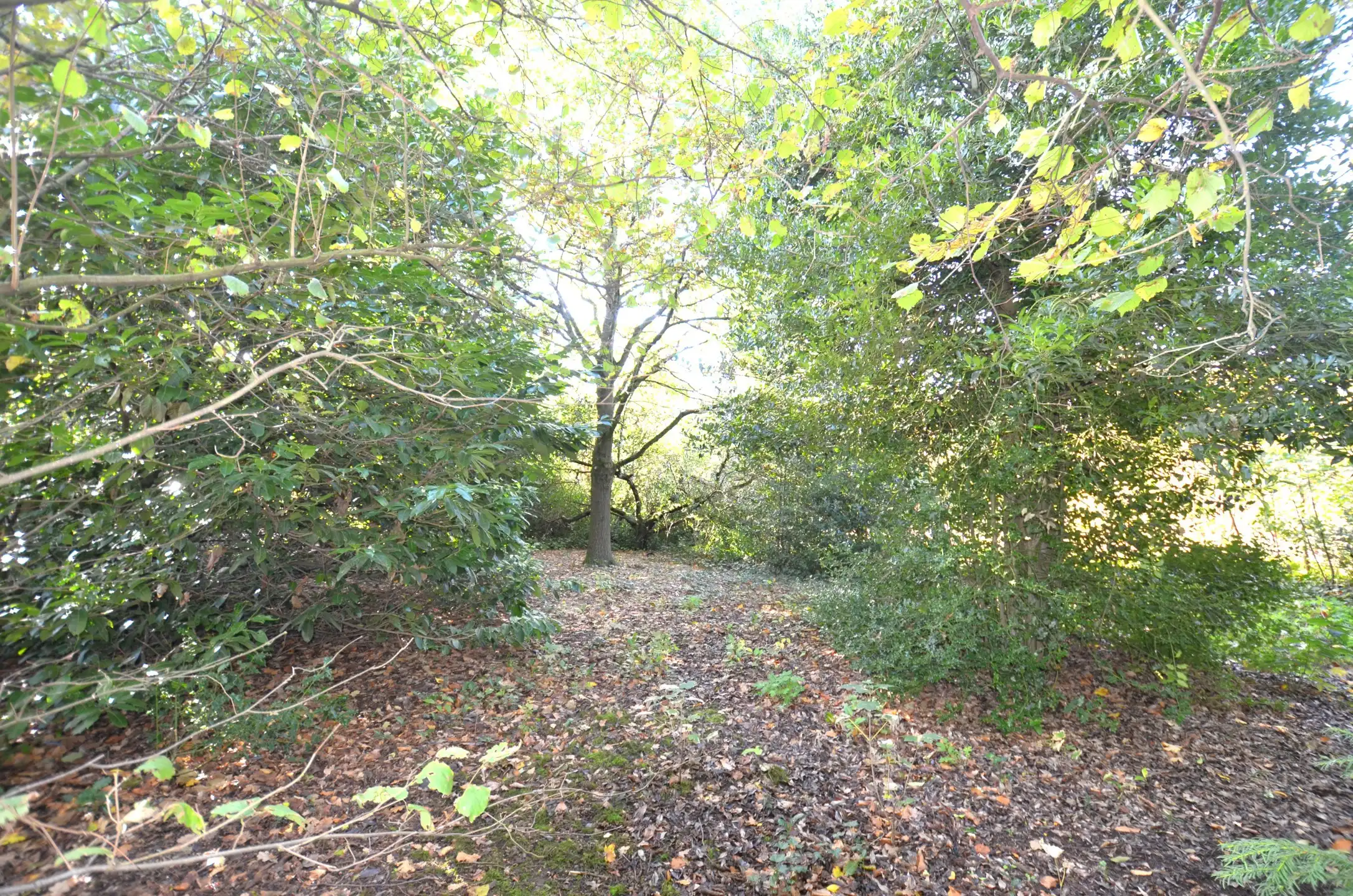 Energiezuinig af te werken woning met 2 slaapkamers foto 15