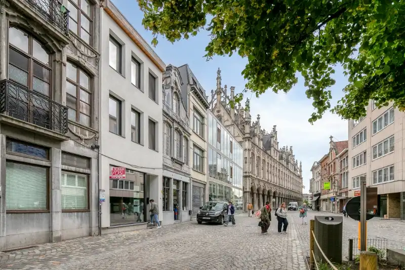 Commerciële toplocatie met uitzonderlijke flexibiliteit foto 9