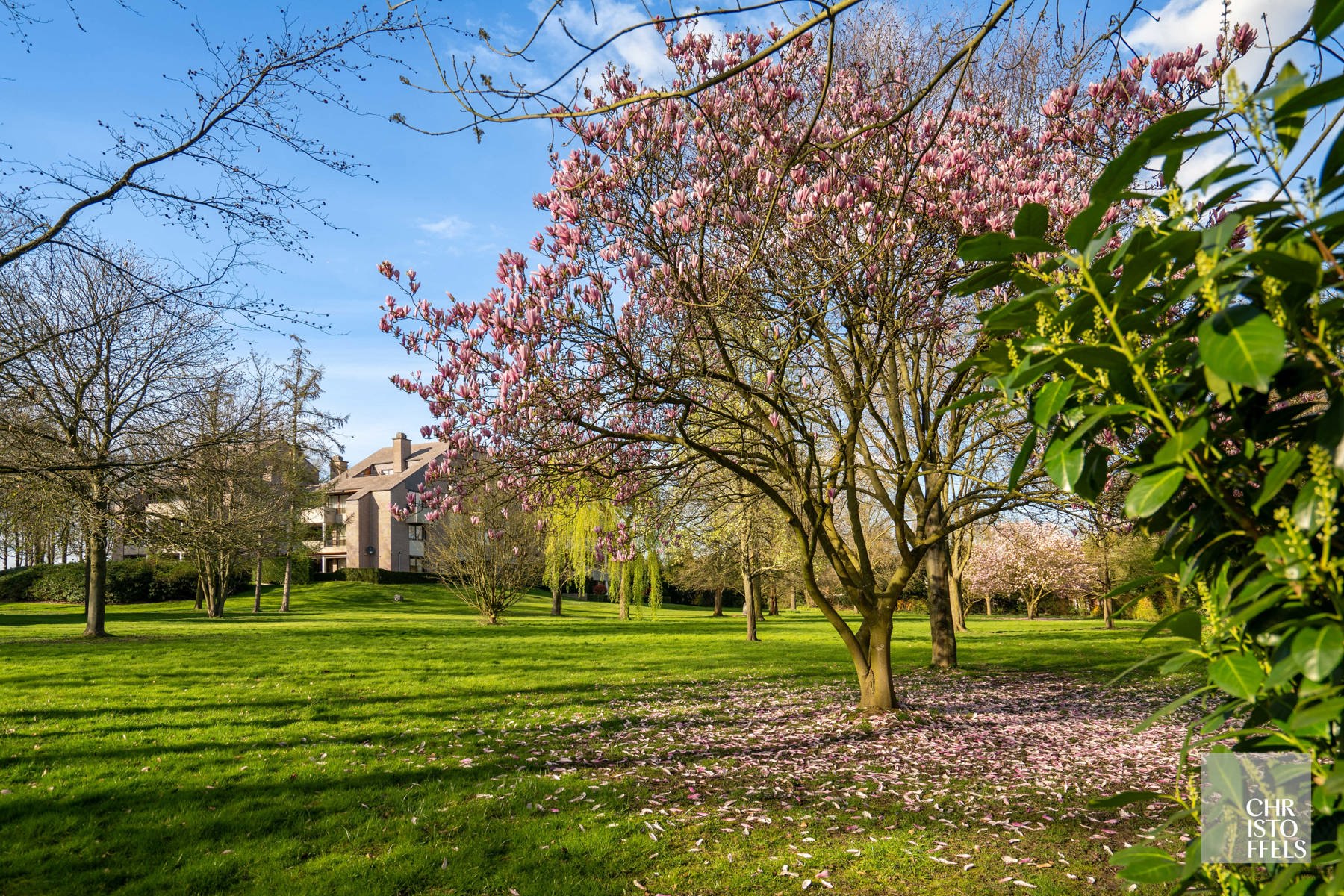 Villa-appartement (273m²) met renovatiepotentieel in een groene omgeving in Lanaken! foto 17