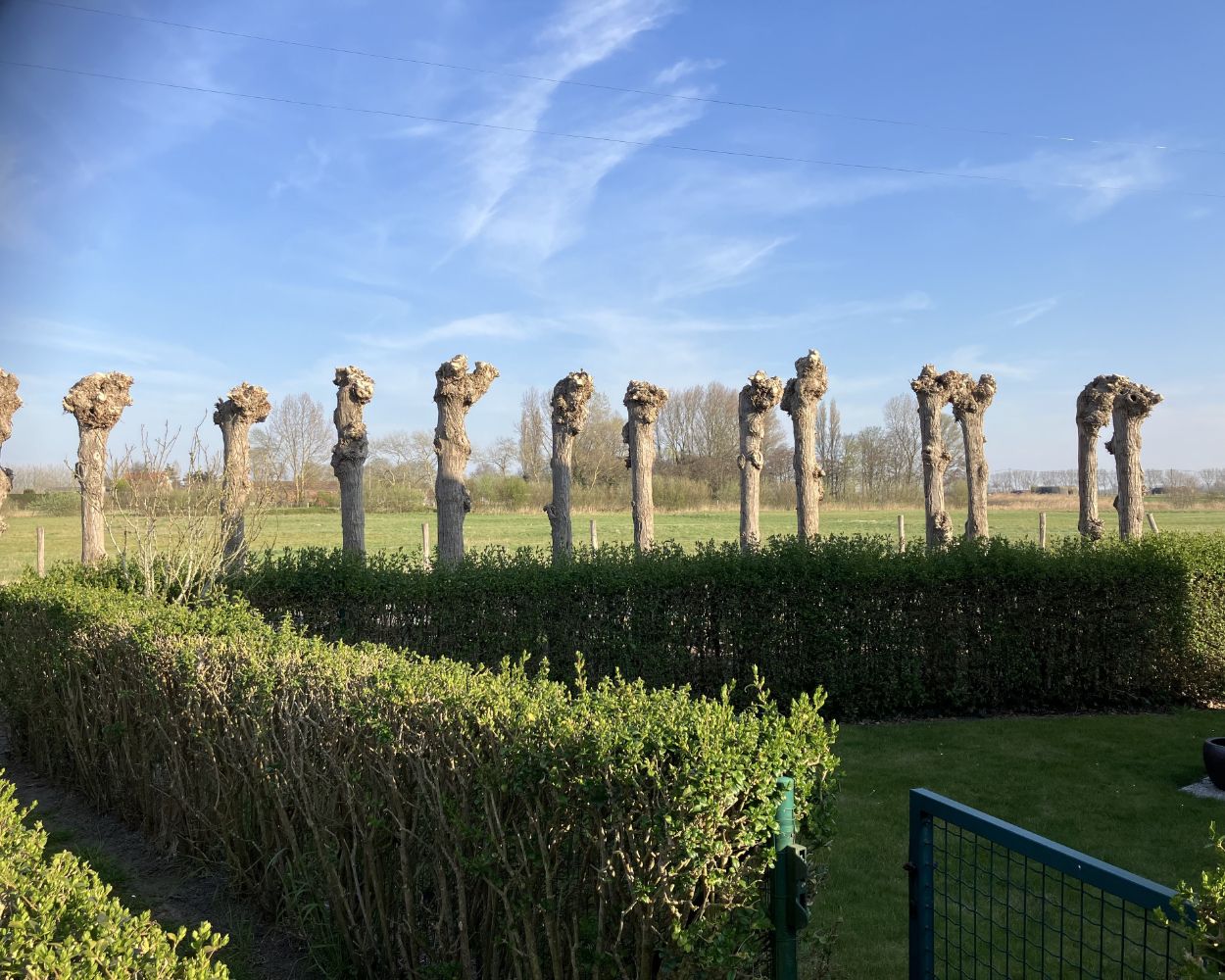 “Op zoek naar een tweede verblijf aan zee?” foto 9