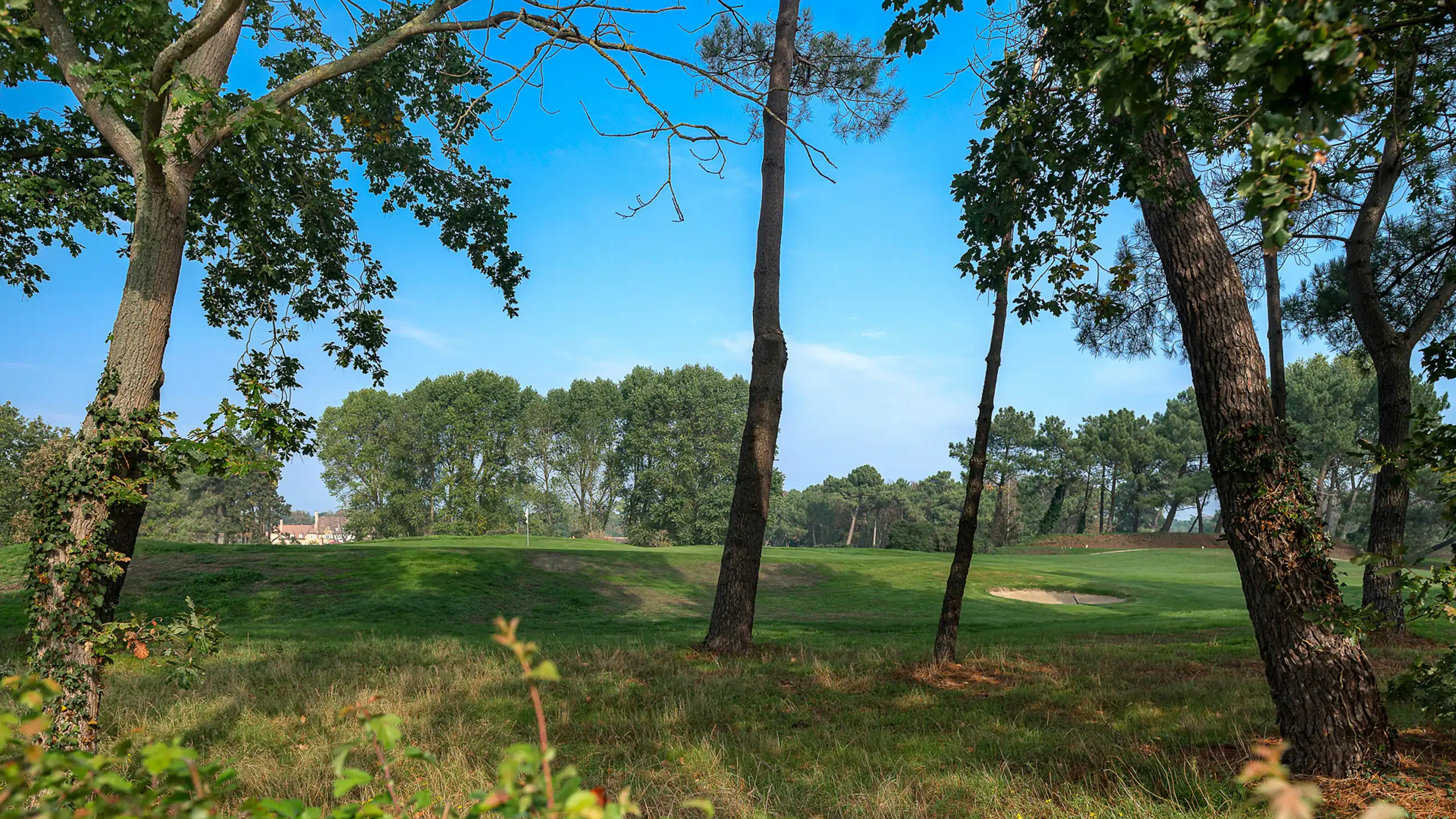 Karaktervolle koppelvilla aan de Royal Zoute Golf Club foto 5