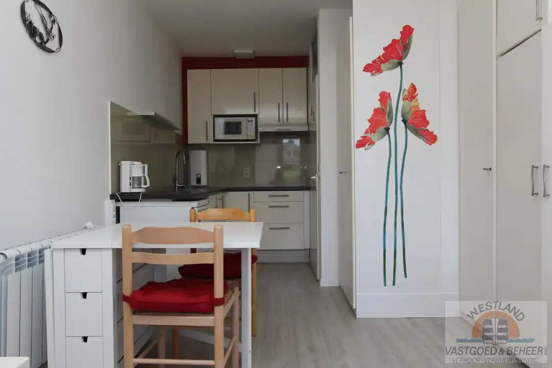 Instapklare studio op het gelijkvloers foto 2