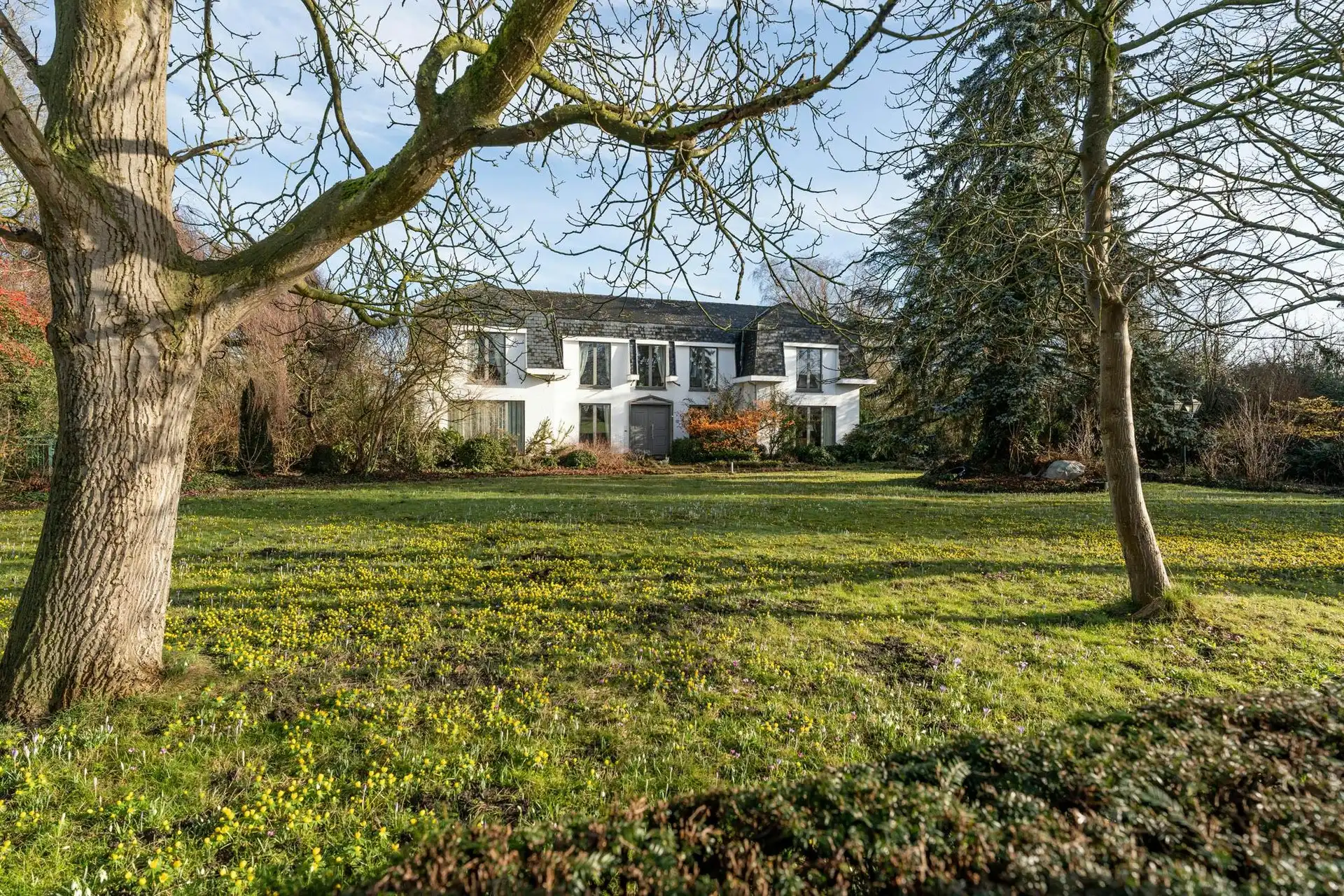 Karaktervolle architectenvilla op uitzonderlijk domein in Diepenbeek foto {{pictureIndex}}