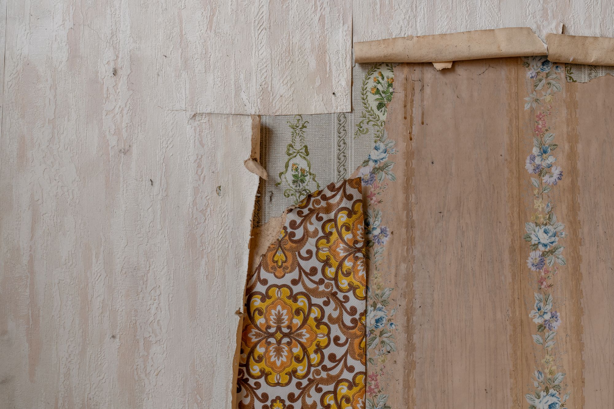 Wrapped in wallpaper: te renoveren of nieuw te bouwen woning in Damtwerpen foto 14