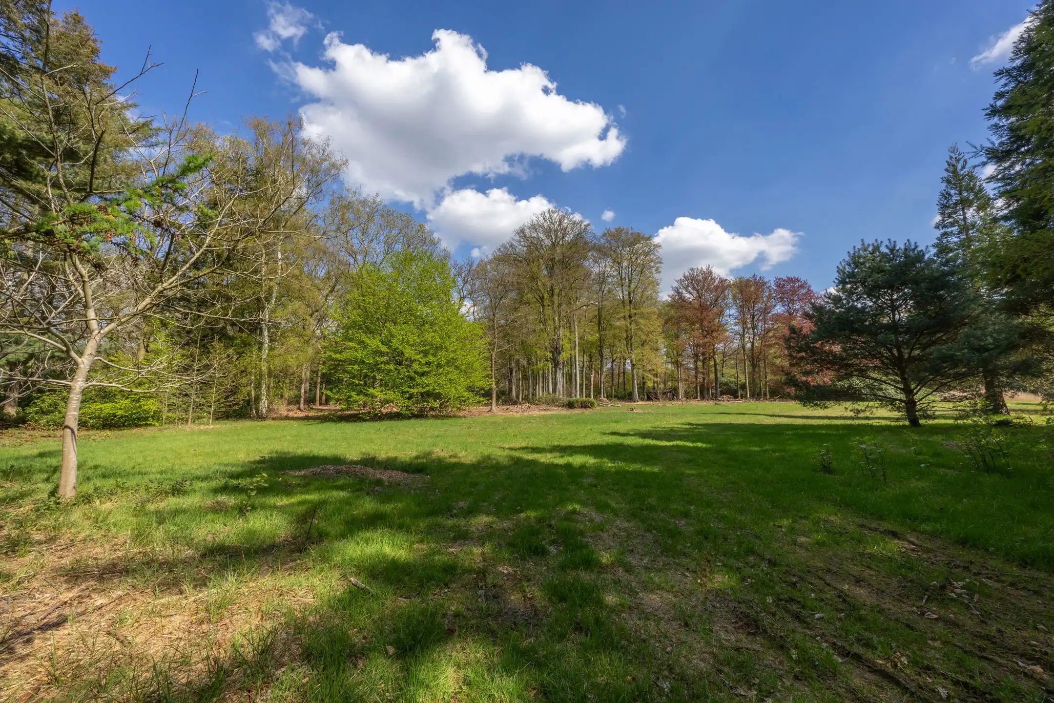 Exceptionele bouwgrond van 12.465 m² in Vriesdonk foto 16