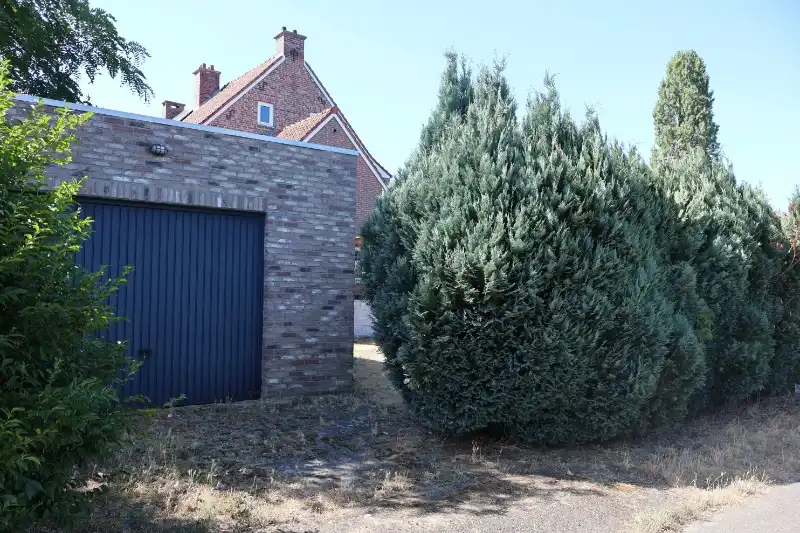 Woning met 4 slaapkamers en garage foto 26