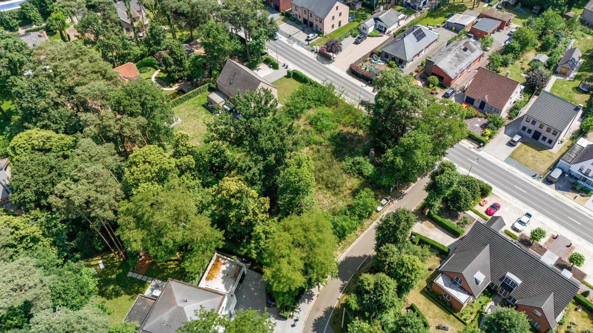 Bouwgrond voor open bebouwing tussen Tremelo en Keerbergen foto 5