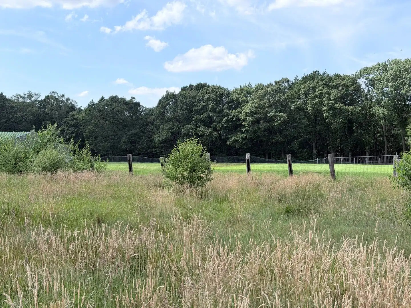 Bouwgrond voor HOB, 11a04ca, met zicht op groen foto 4