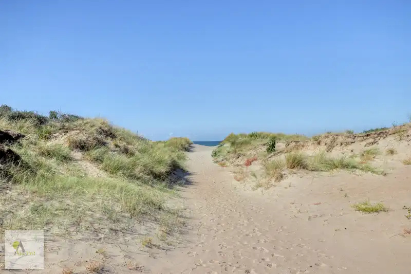 “KAAP DE GOEDE HOOP” foto 4