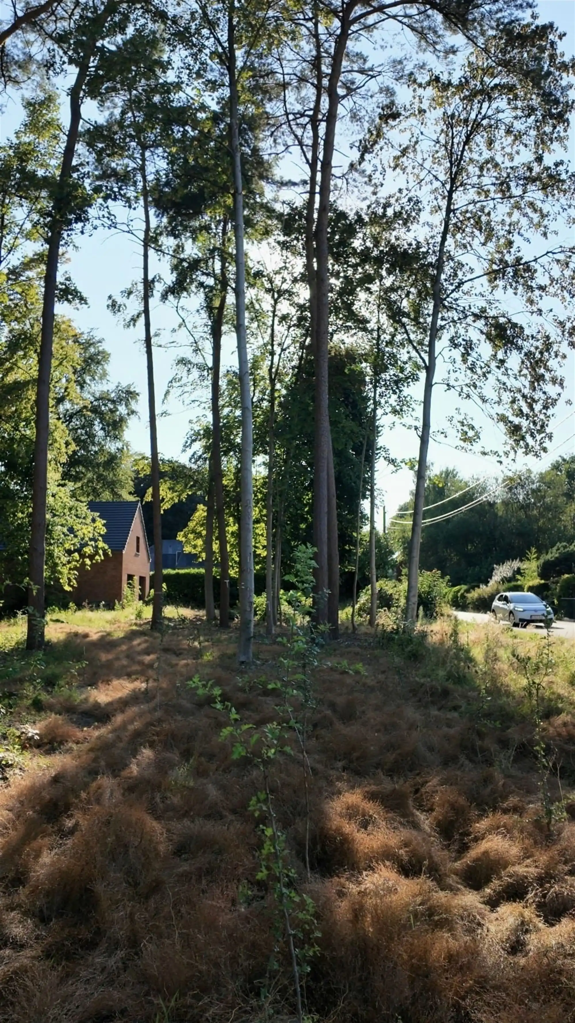 Bouwgrond op een uitzonderlijke locatie in Oud-Heverlee foto 2