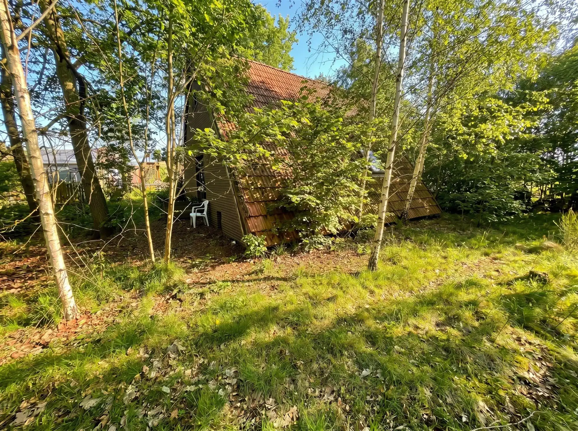 Te renoveren enorme villa (925 m² bewoonbaar) op 7874 m²  foto 4