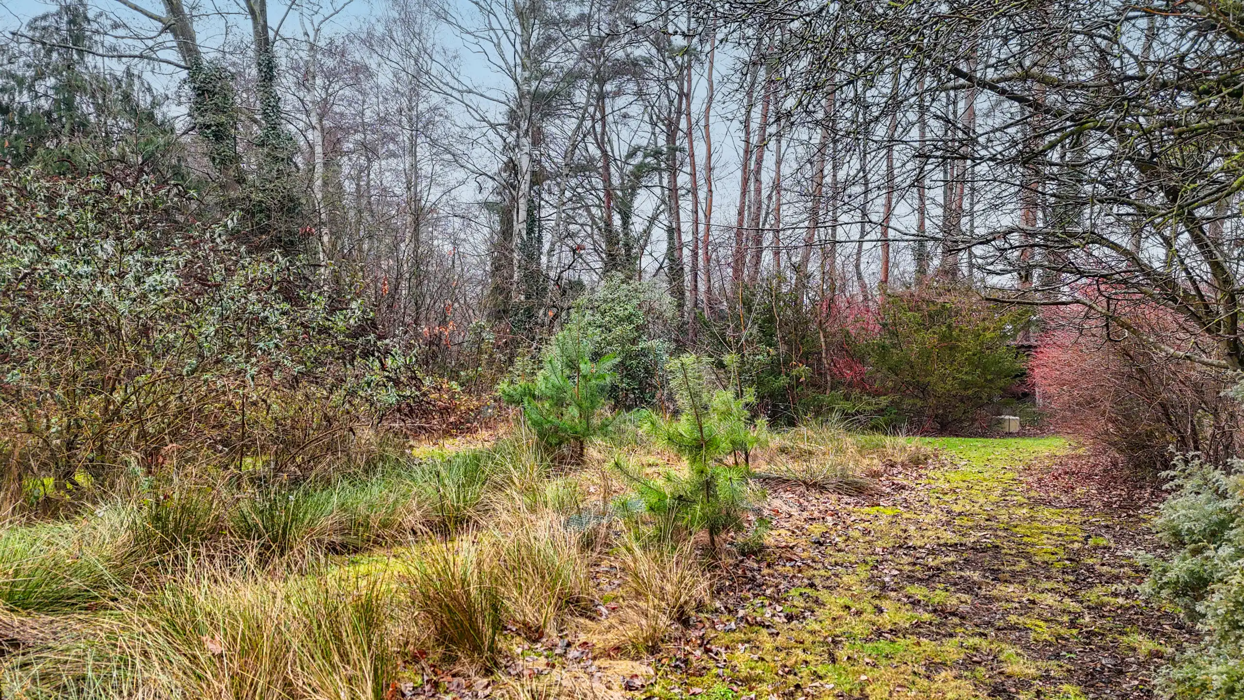 Gezinswoning met ruime garage op riant perceel te Beringen! foto 56