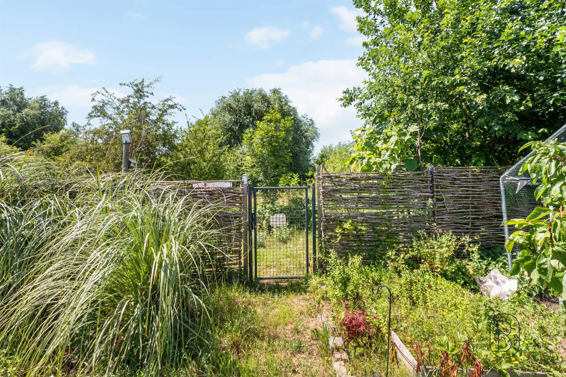 Volledig gerenoveerde woning in Luingne foto 17