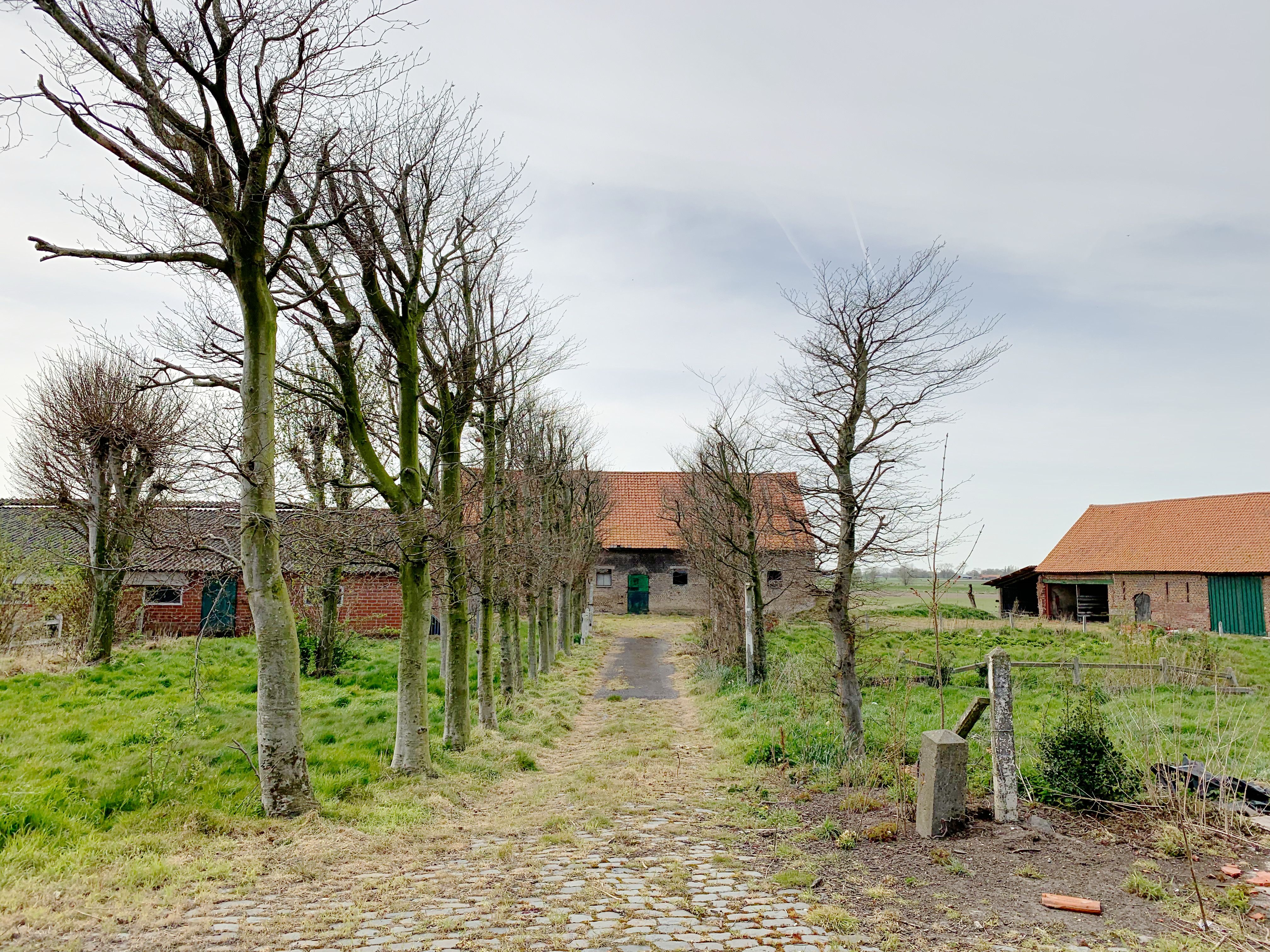 Idylissch gelegen hoeve met diverse bijgebouwen op 3ha foto 1