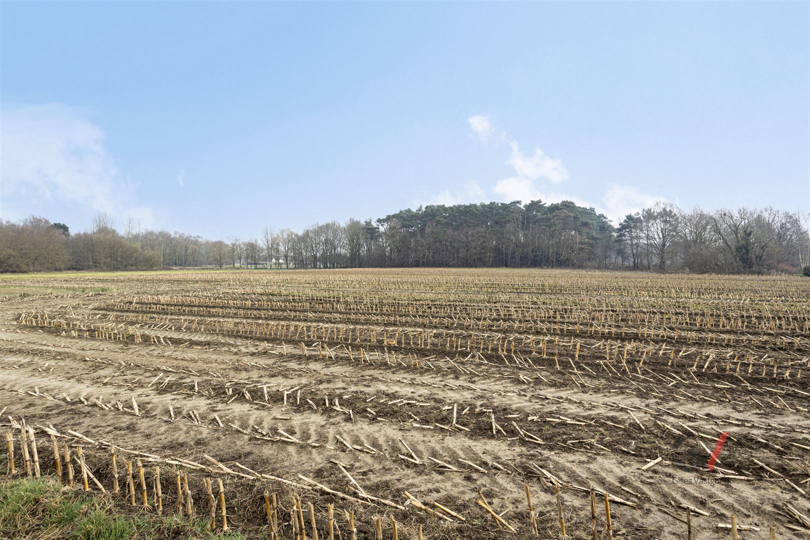 Huis met weiland te koop foto 19
