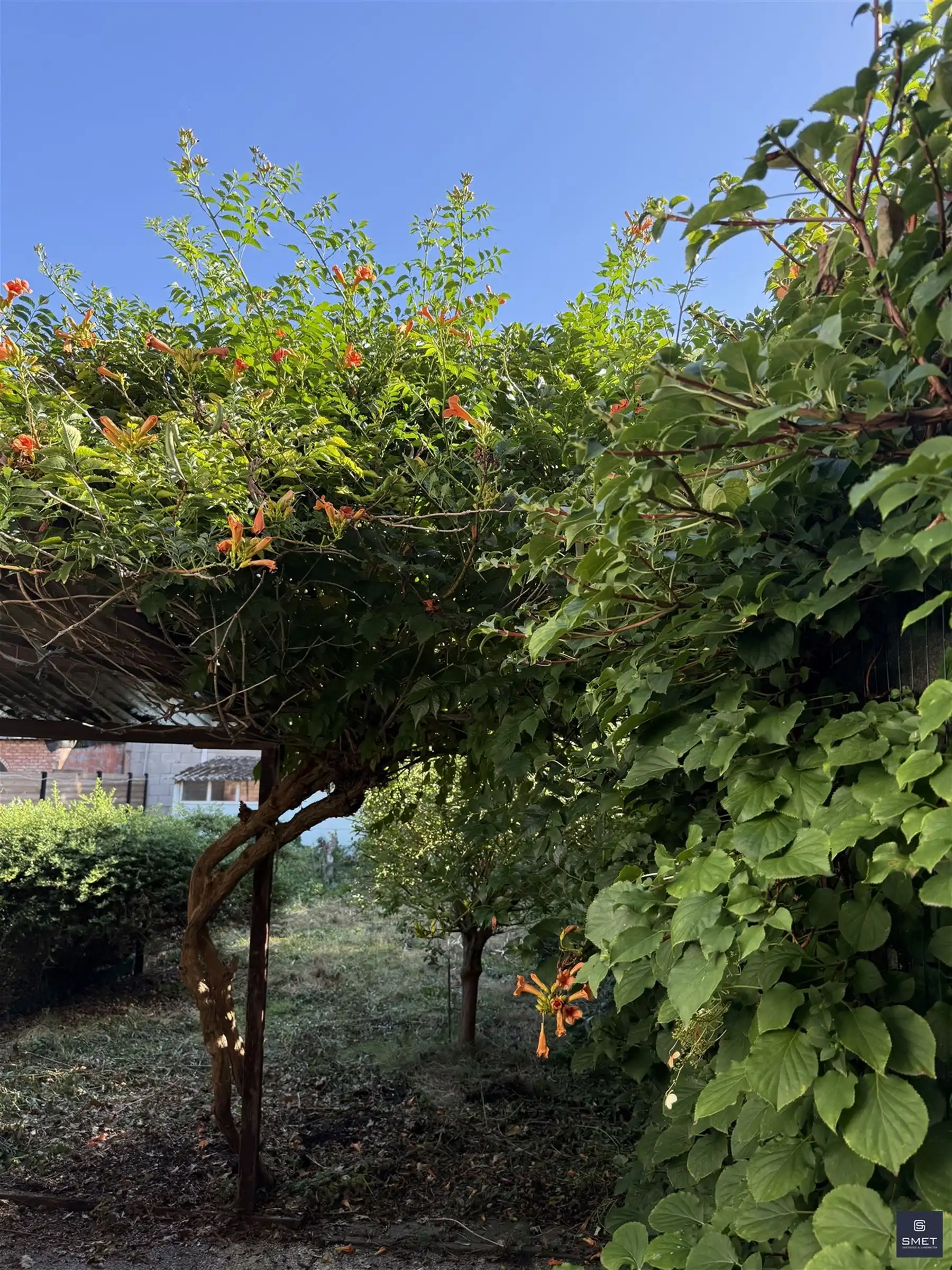 RUIME TE RENOVEREN WONING MET 4 SLPKS EN TUIN foto 16
