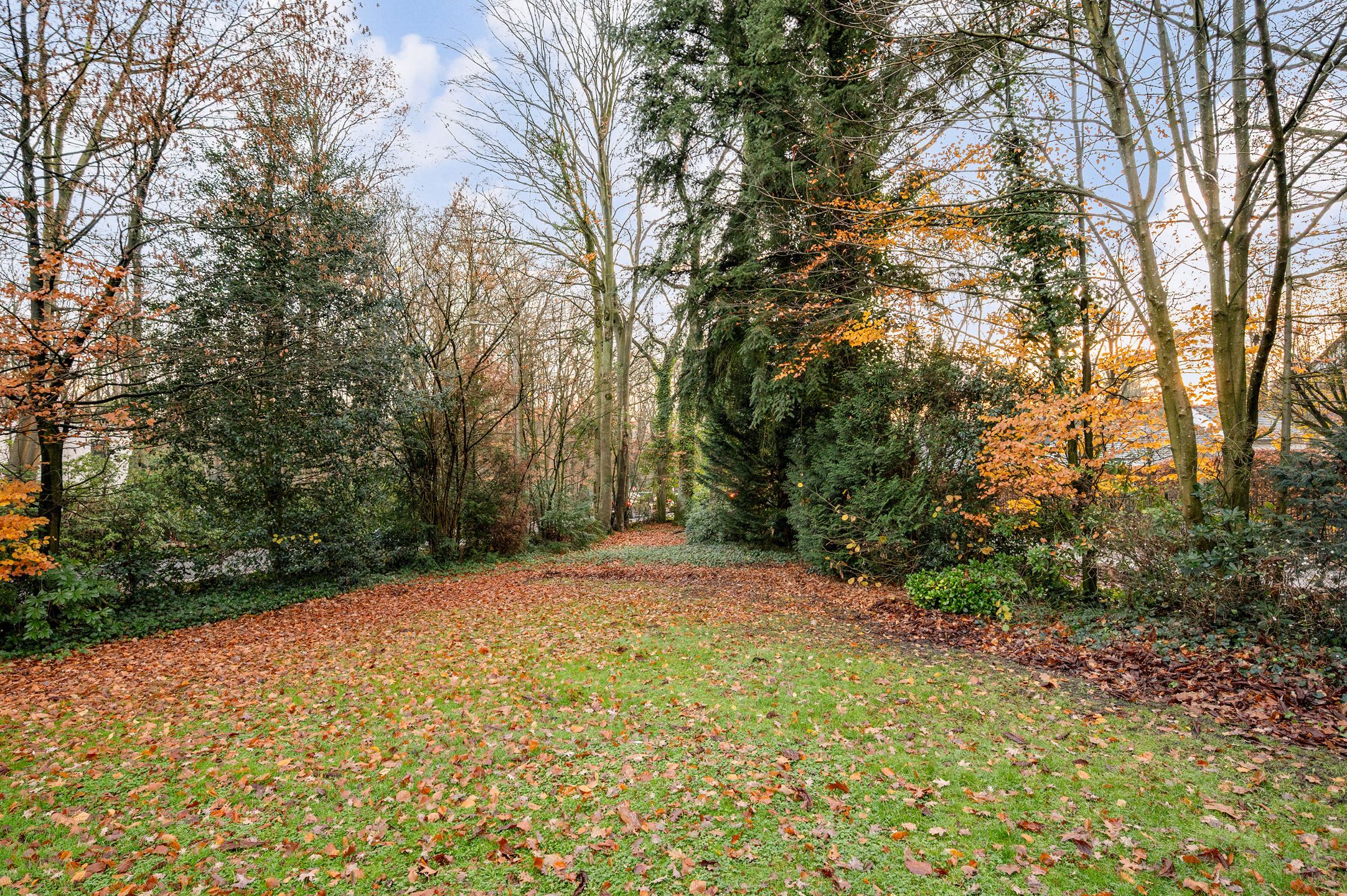 Charmante woning op wandelafstand van Heide! foto 19