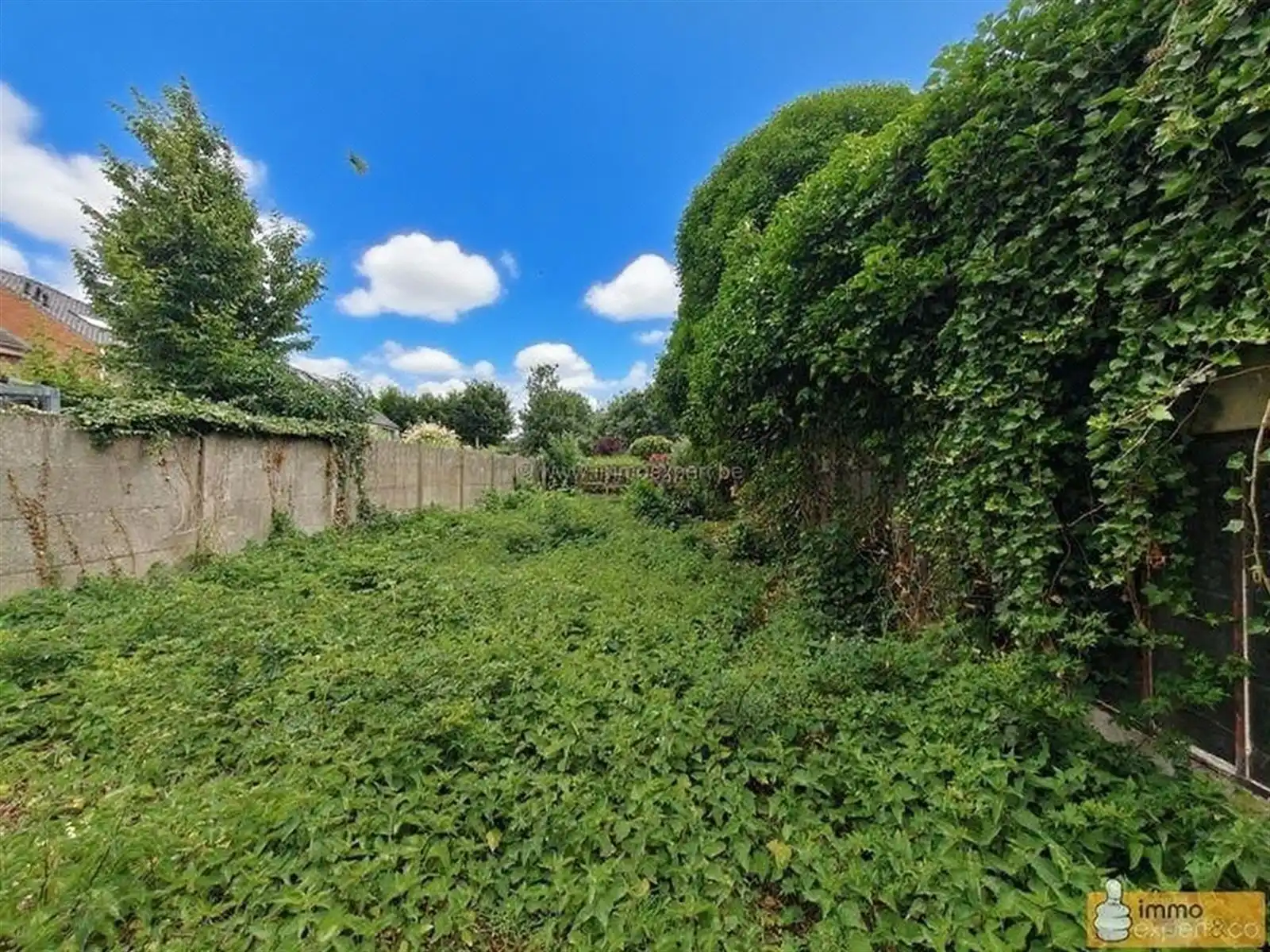 TERNAT: Renovatieproject foto 9