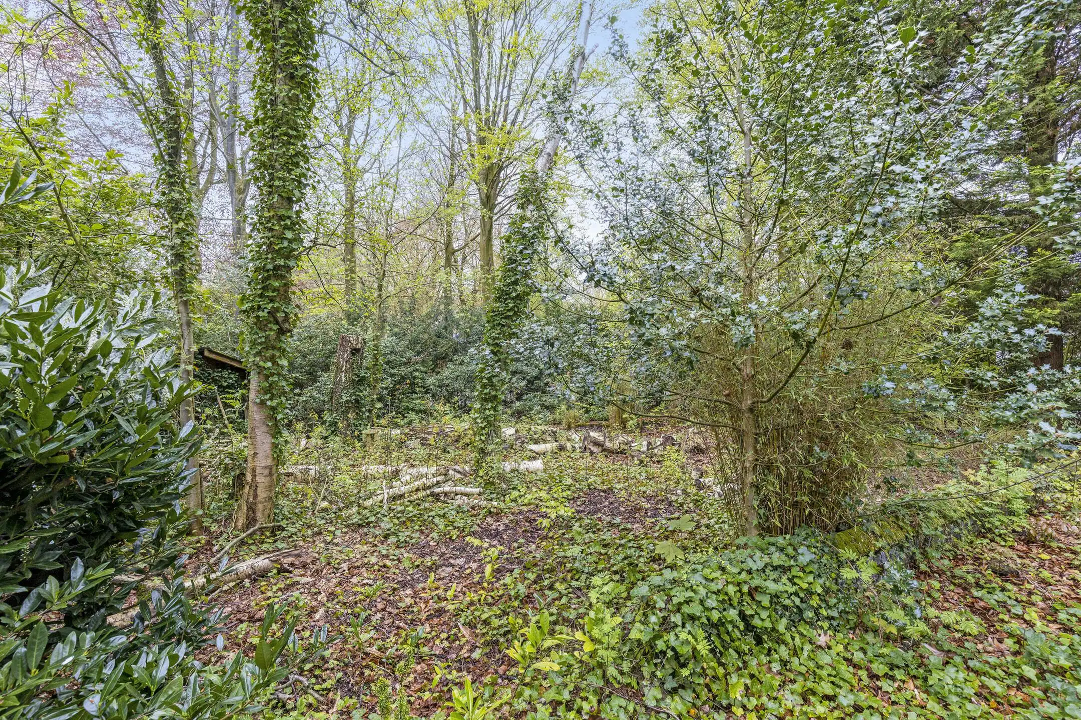 Perceel (1.100m²) langs De Linde / Puienbroeklaan te Sint-Kruis (Brugge) foto 2