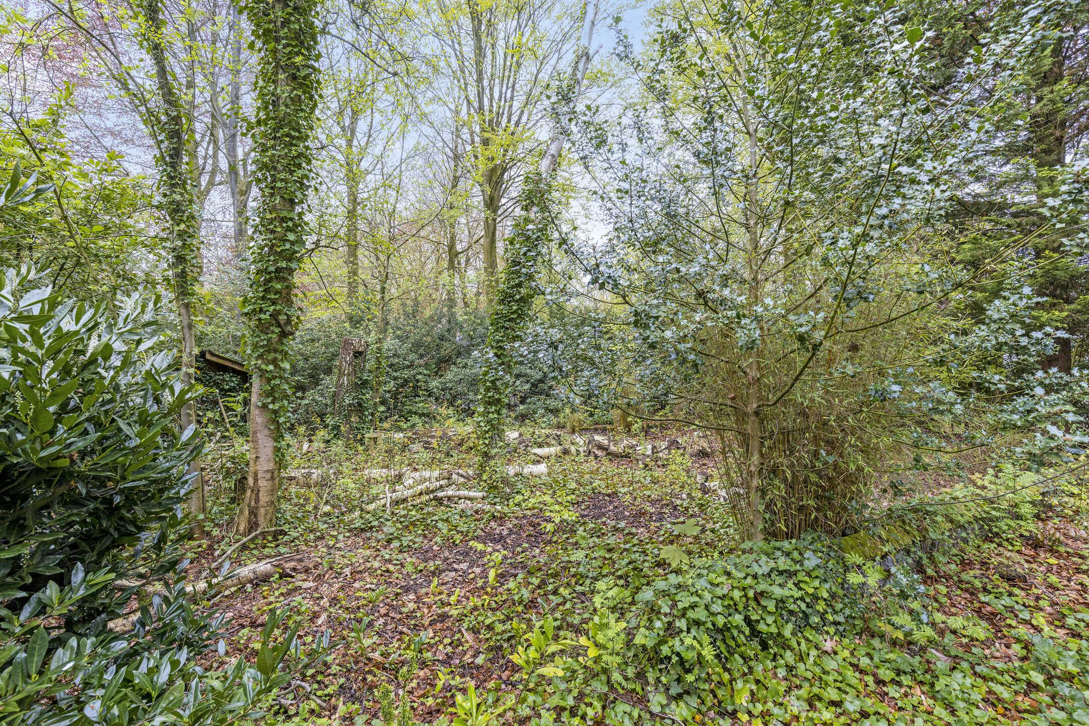 Perceel (1.117m²) langs De Linde / Puienbroeklaan te Sint-Kruis (Brugge) foto 4