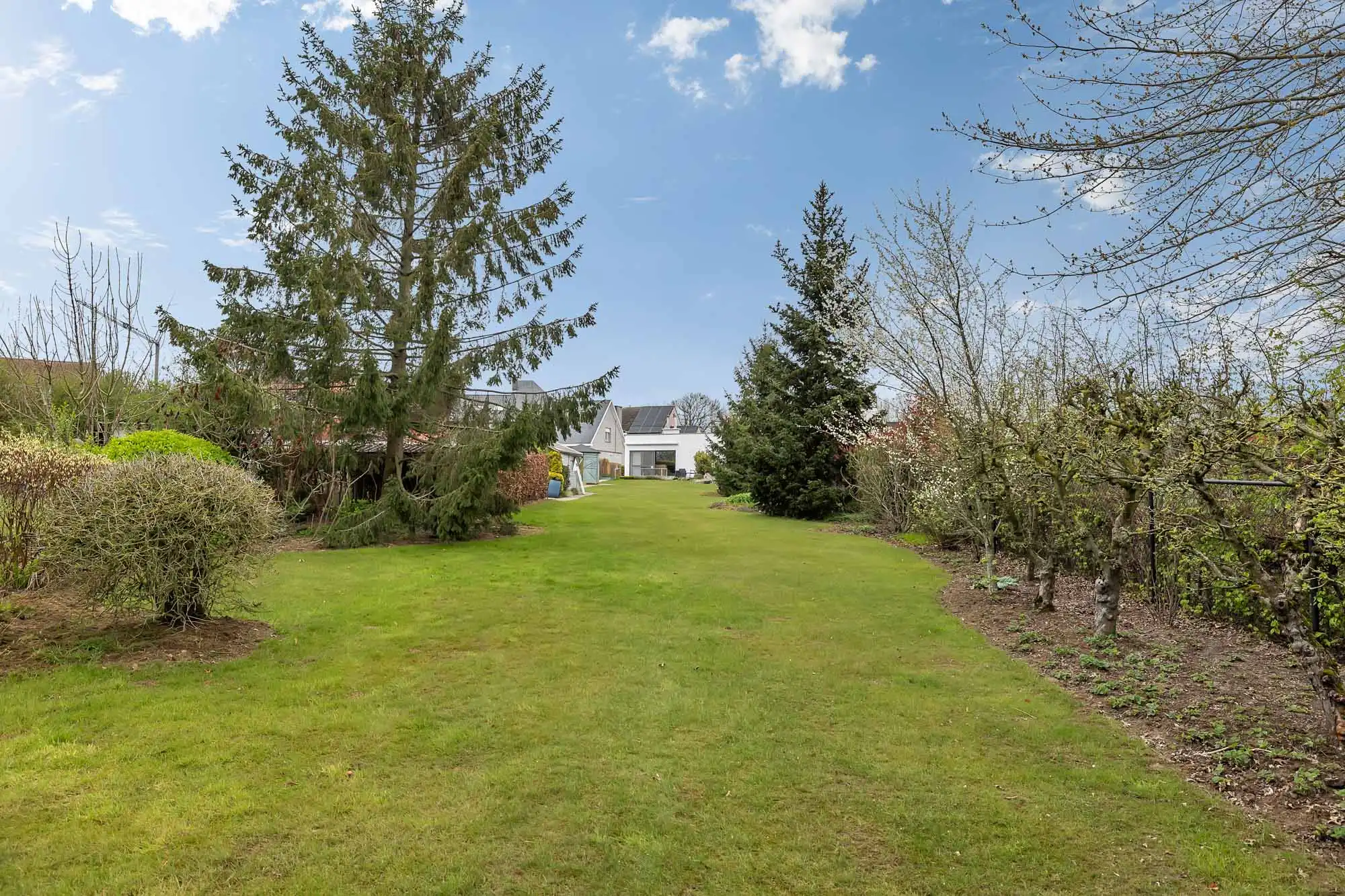 Bungalow met drie slaapkamers in Denderhoutem foto 24