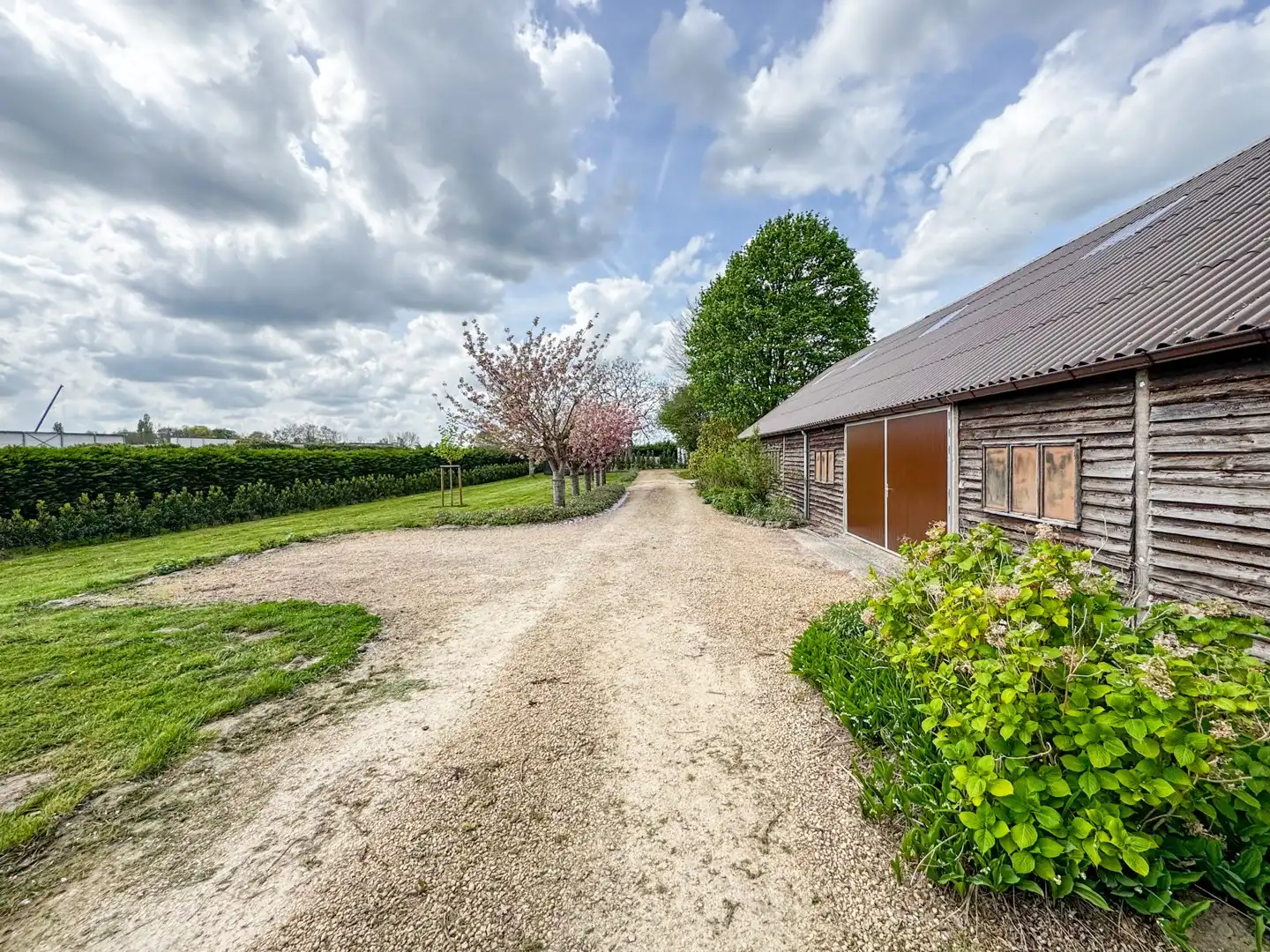 Eigendom met loods, zwembad en multifunctionele bureauruimte op een perceel van ca. 2.700 m² foto 5