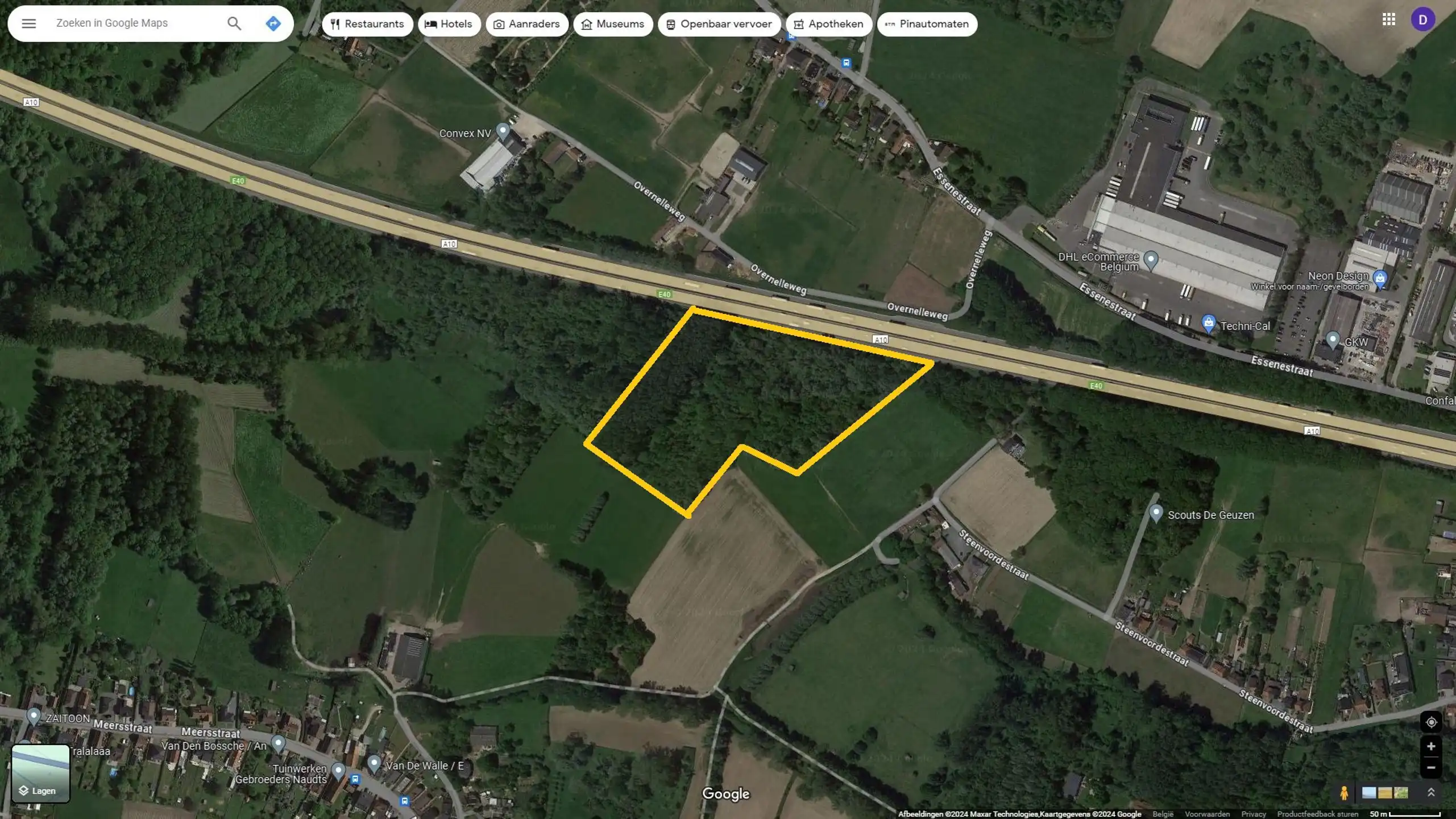 *** Onder OPTIE! *** foto {{pictureIndex}}