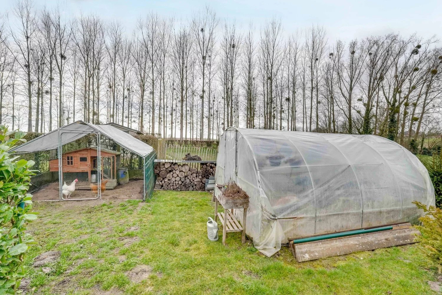 Rustig gelegen woning met zwemvijver in Rosmeer foto 26