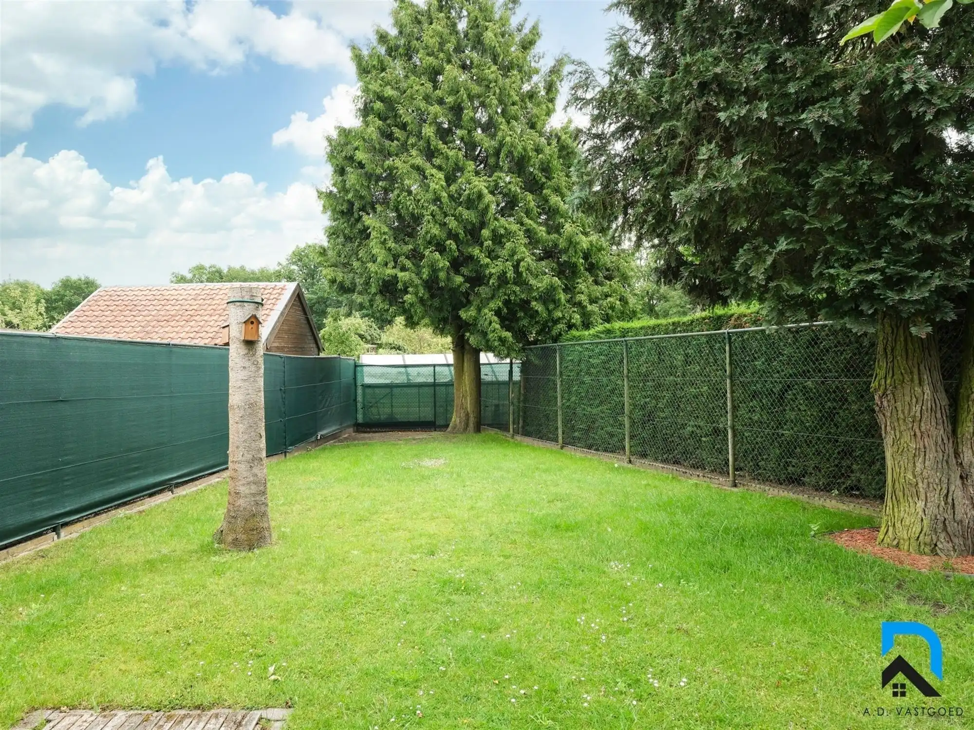 Ruime woning op toplocatie in Munsterbilzen foto 29